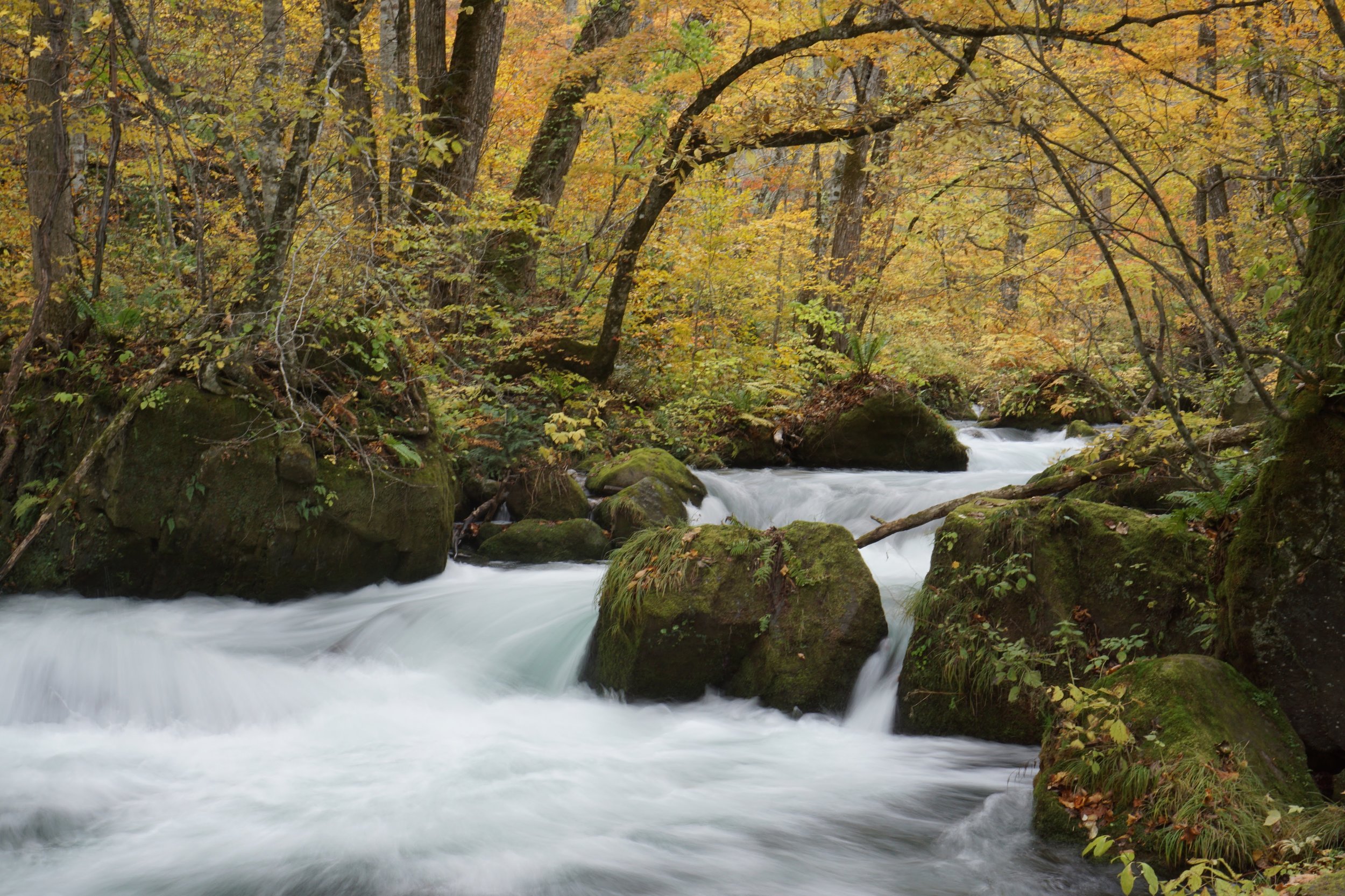 Oirase stream
