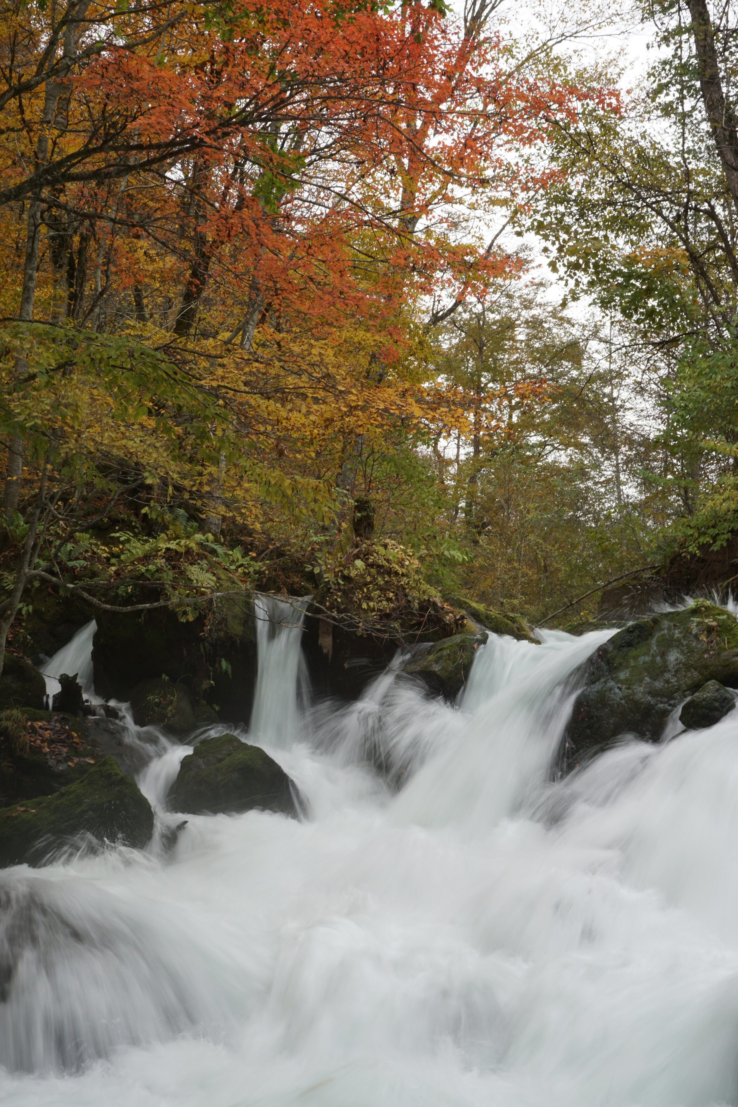 Ishikedo Rapids