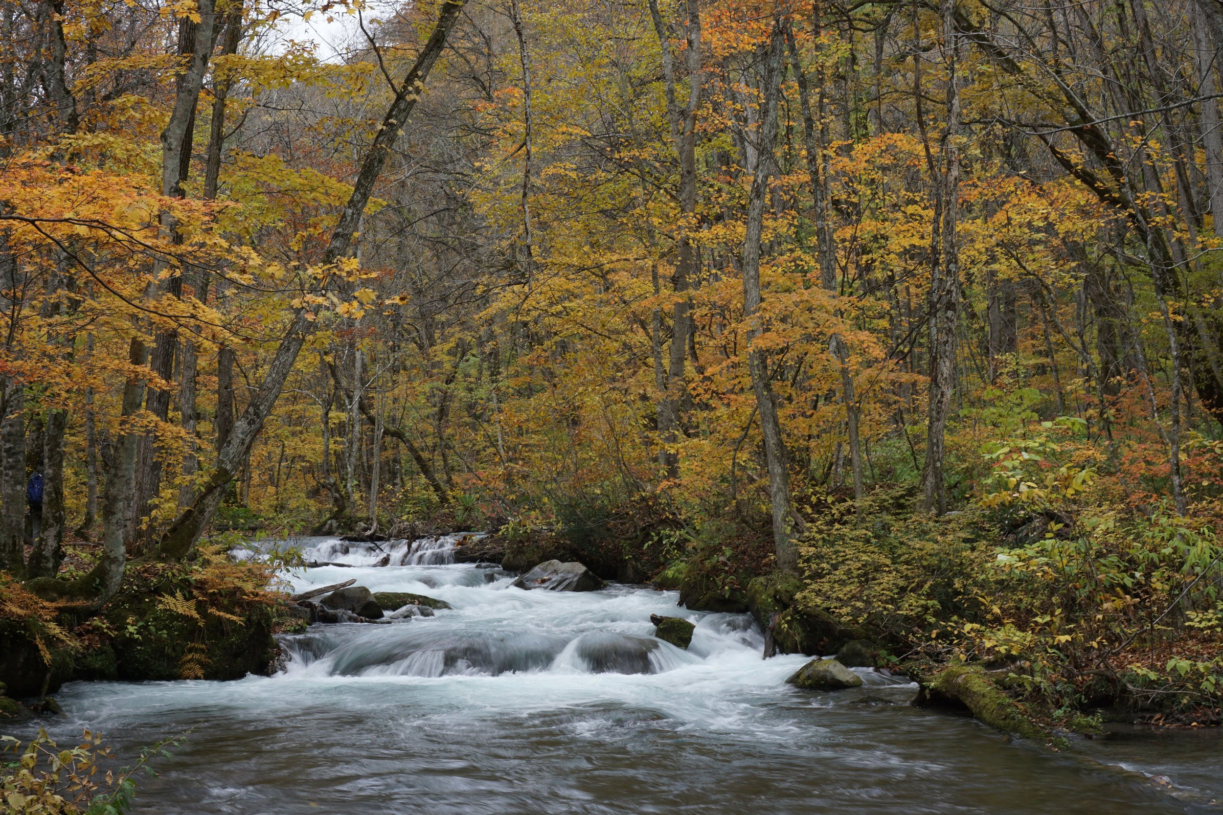 Oirase Stream