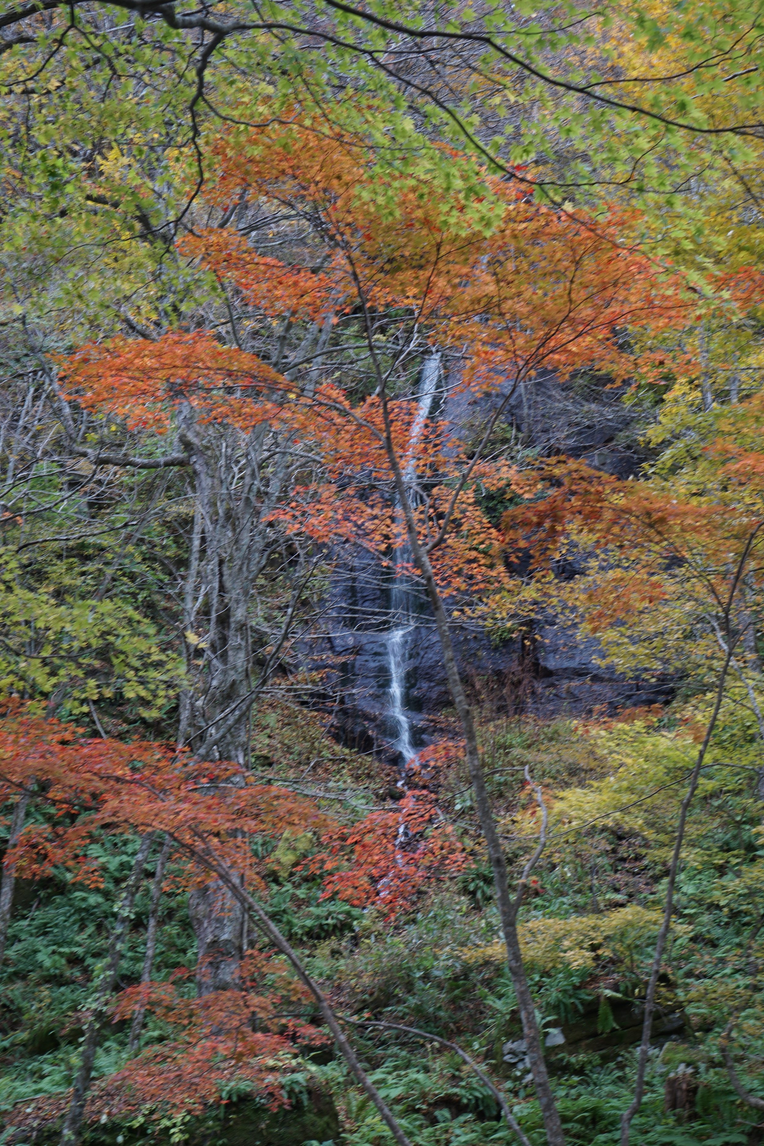 Shiraito Waterfall