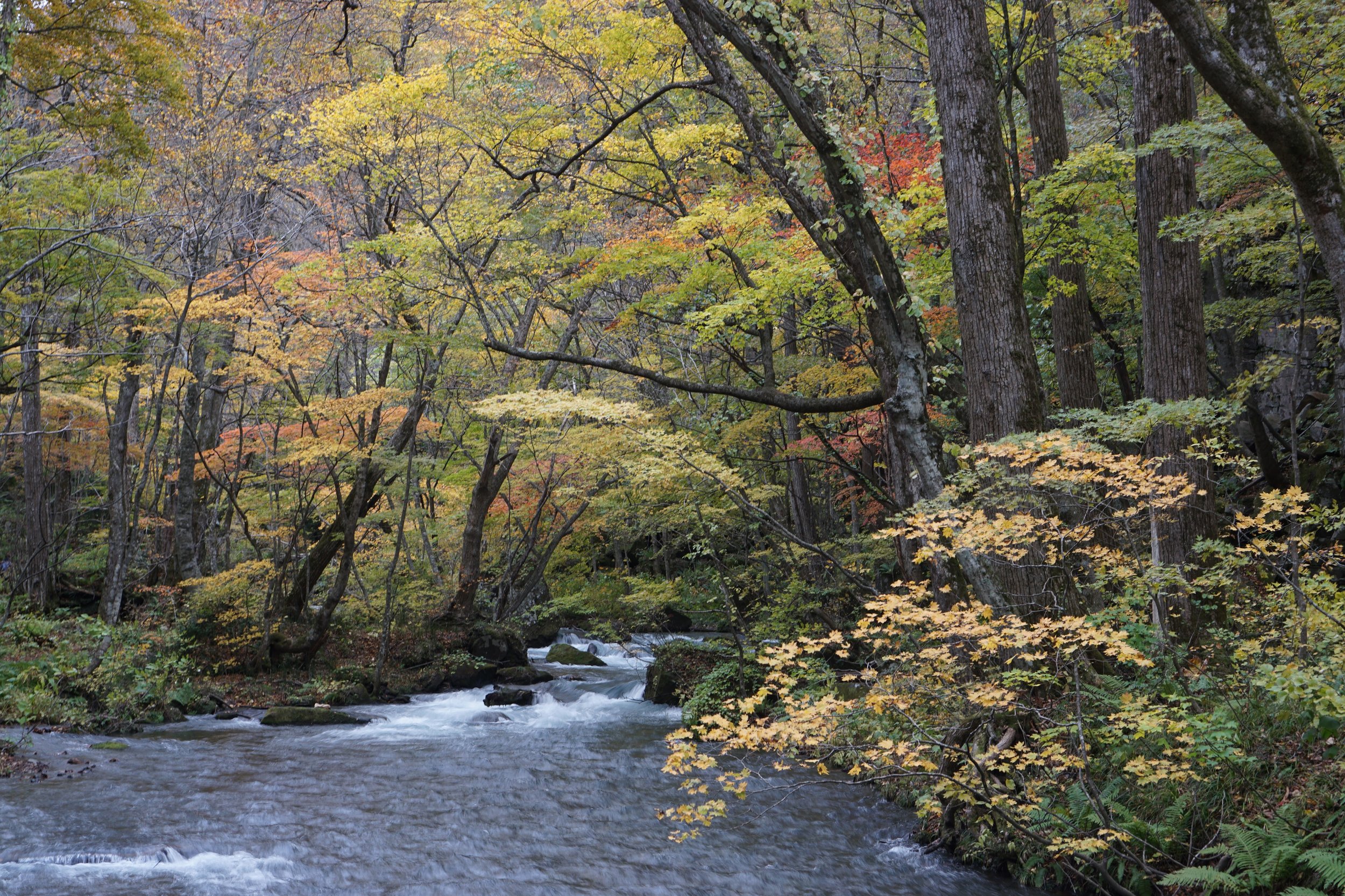 Oirase Stream
