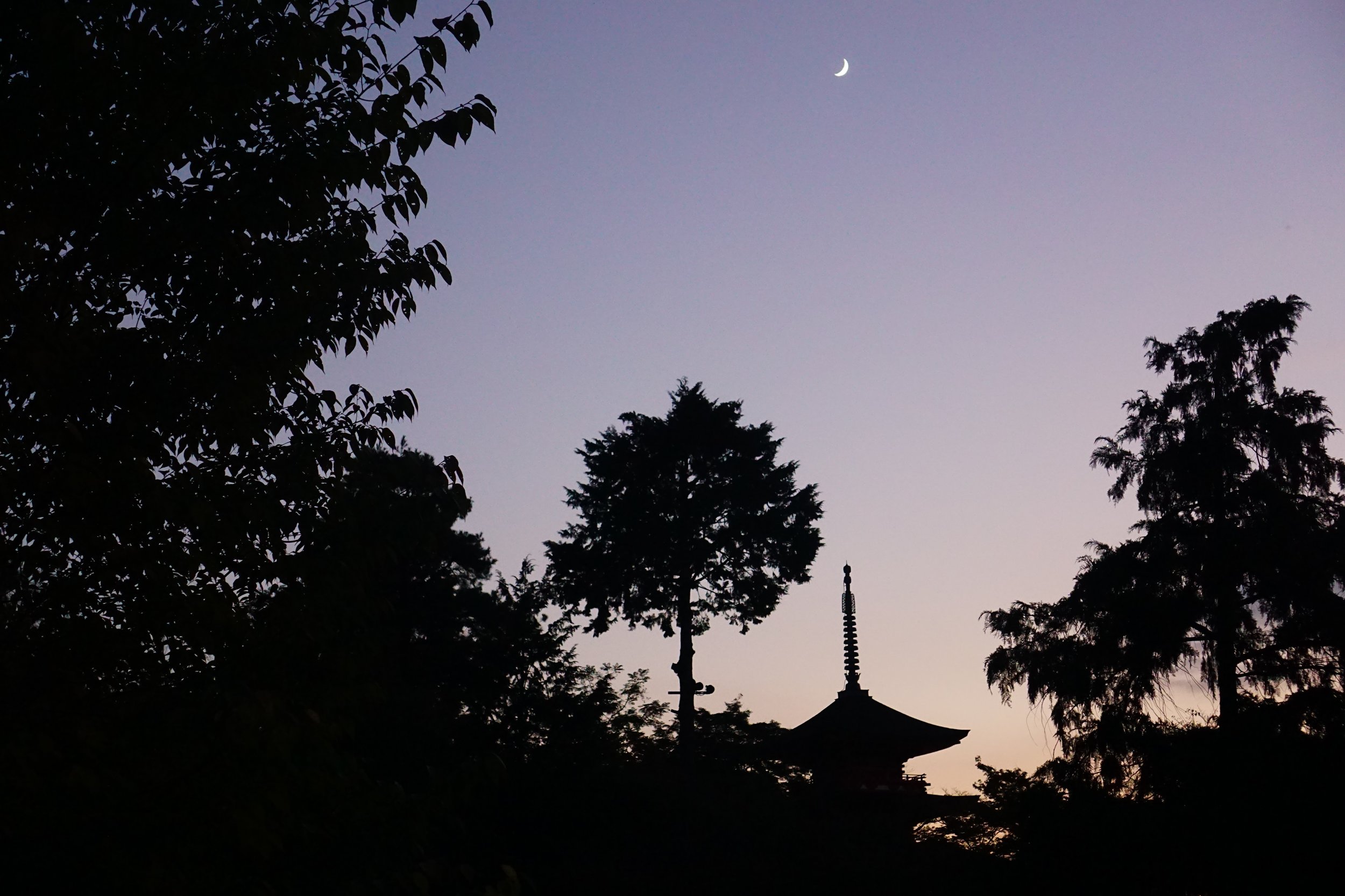 Kiyomizudera pagoda at night