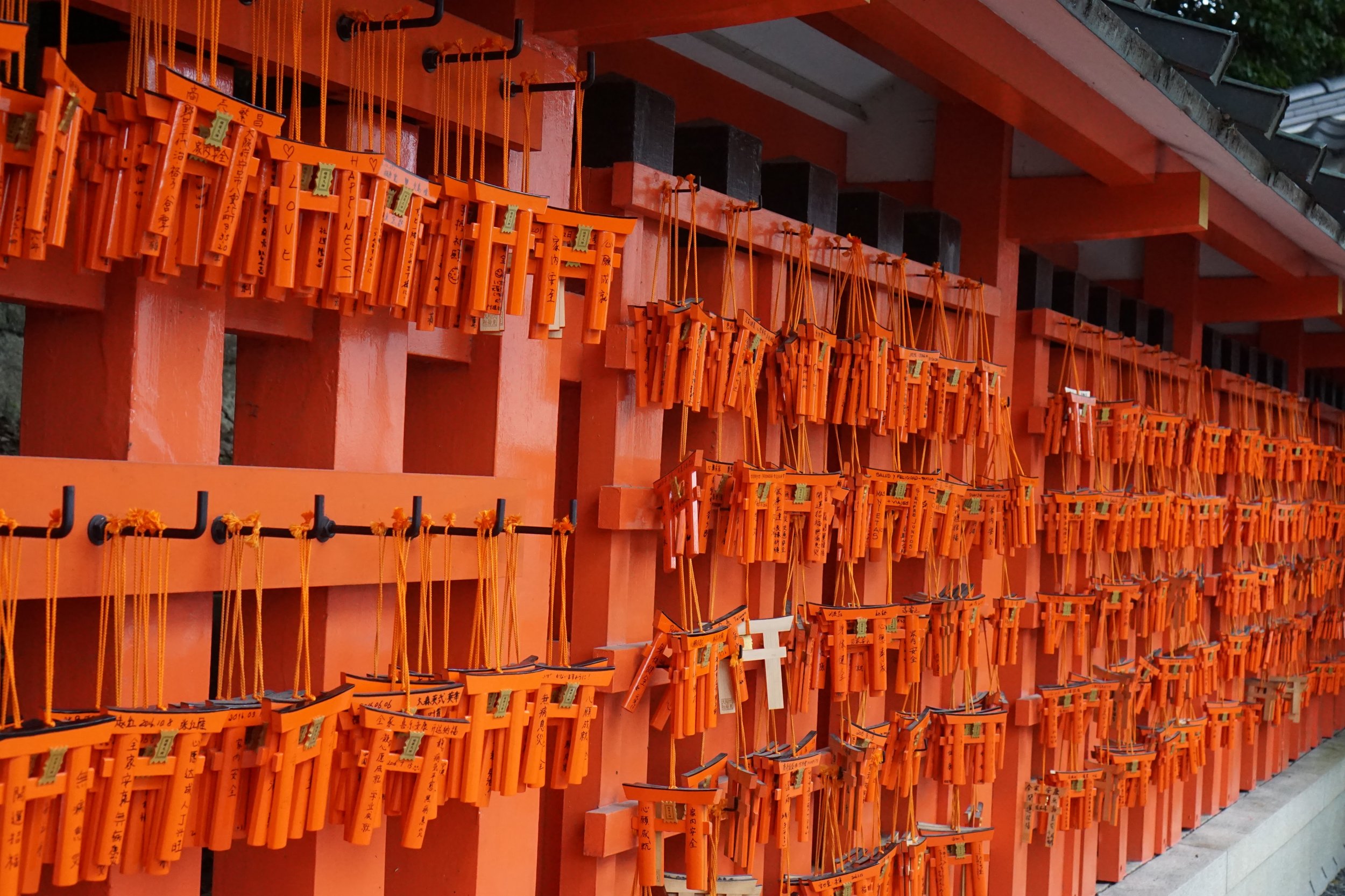 Torii blessings