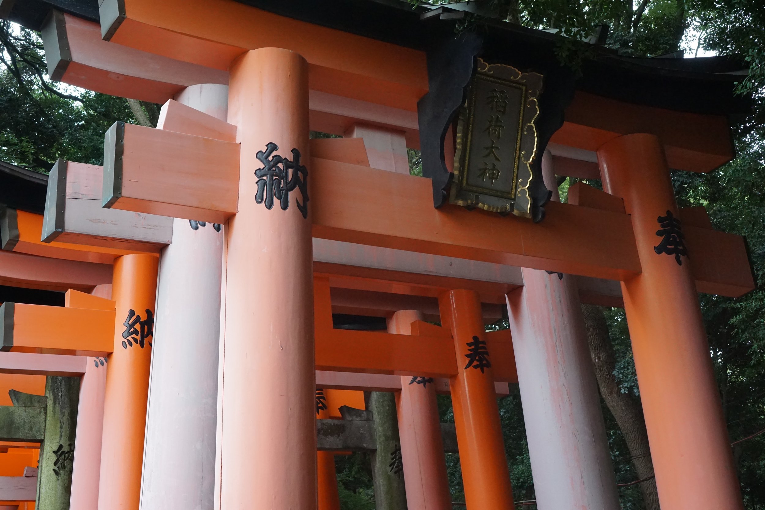 Fushimi Inari Shrine Torii Gates