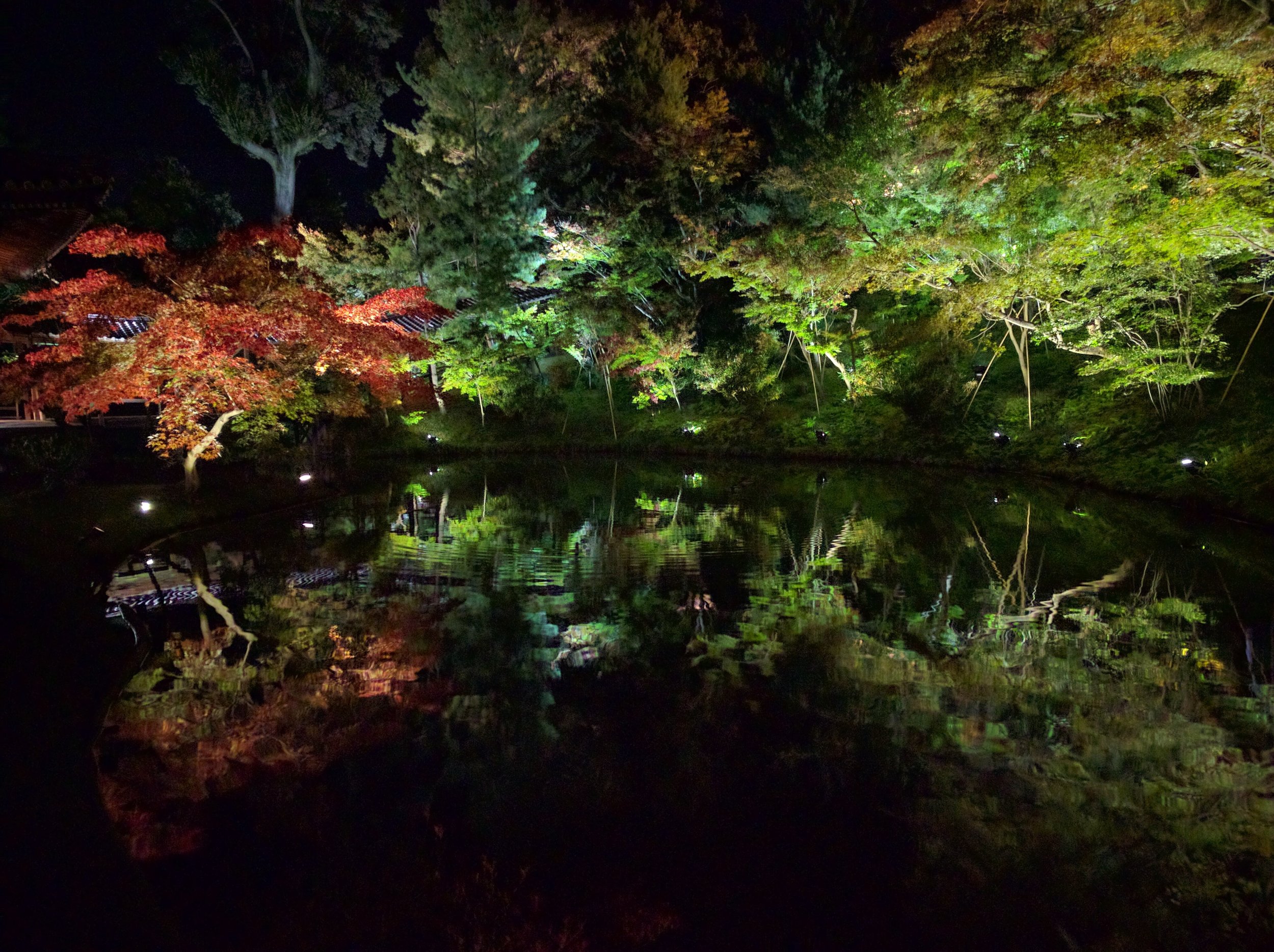 Nighttime Illumination at Kodaiji
