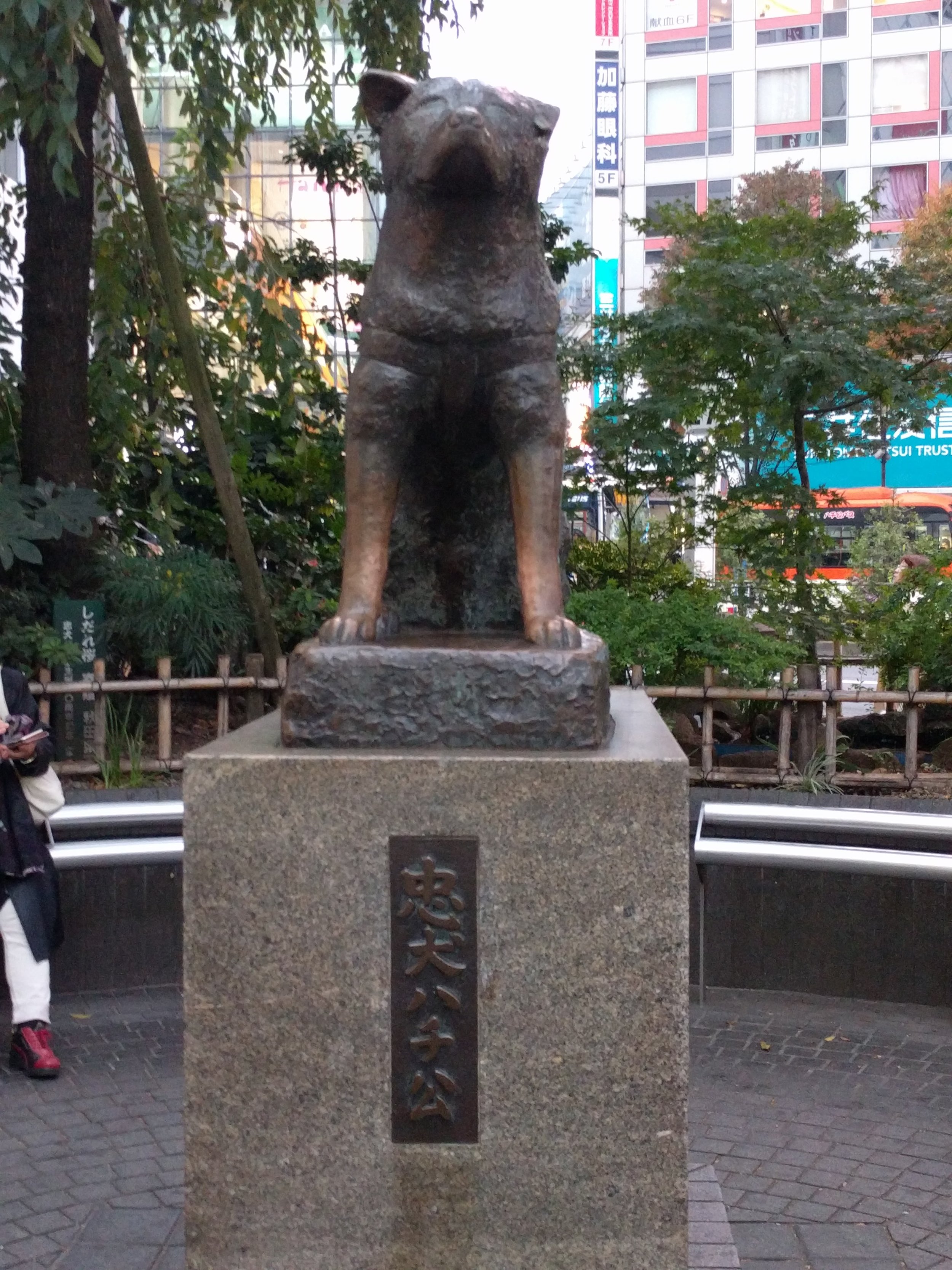 Hachiko!