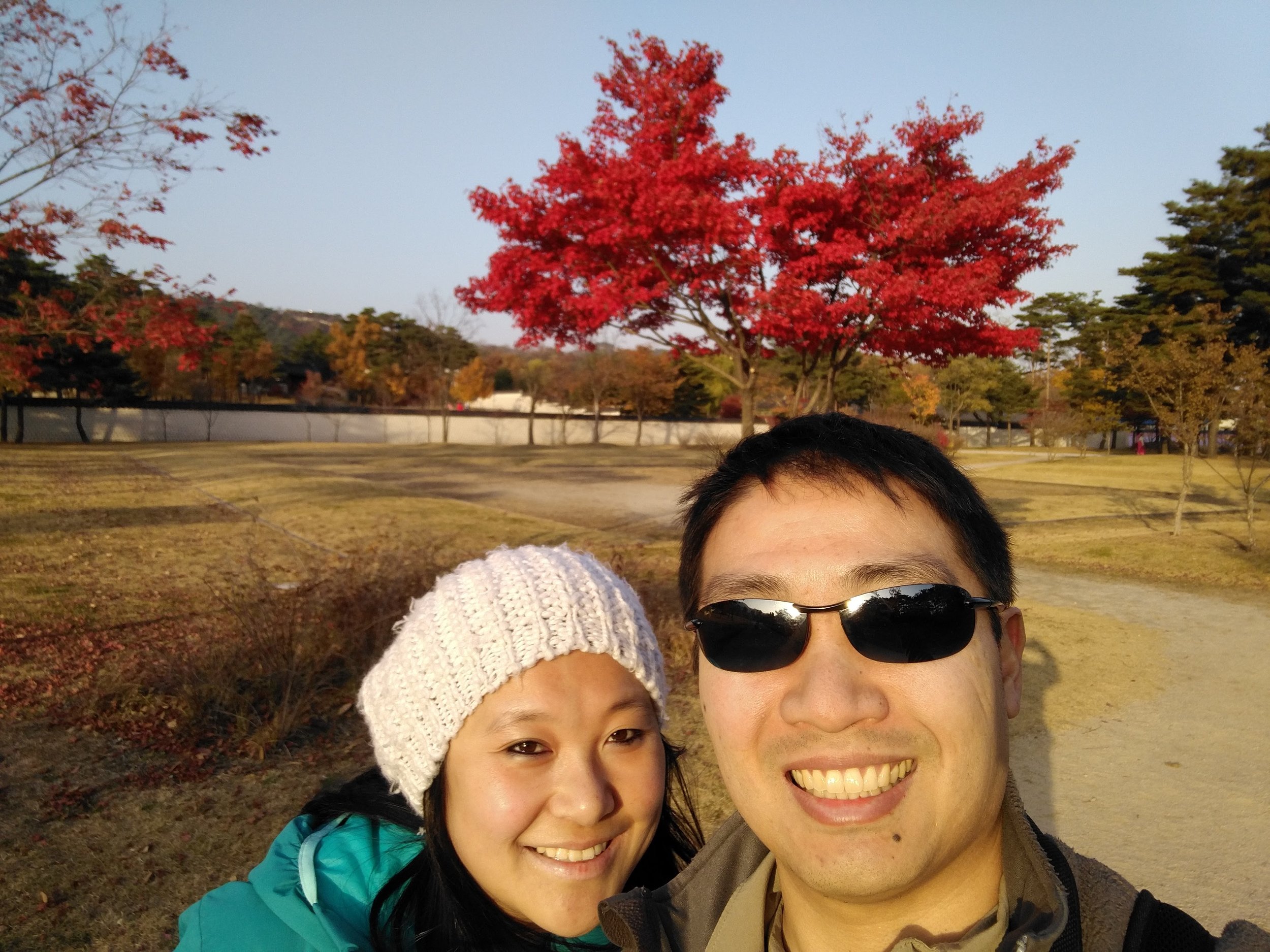 Bright red trees!