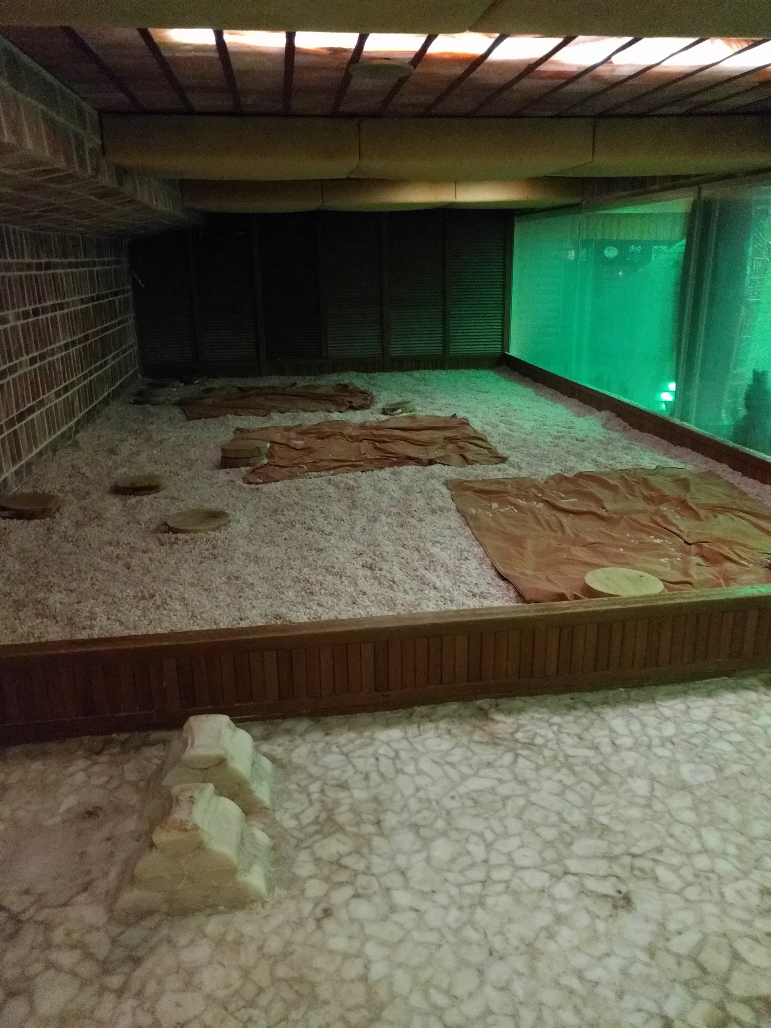 Inside the Salt room