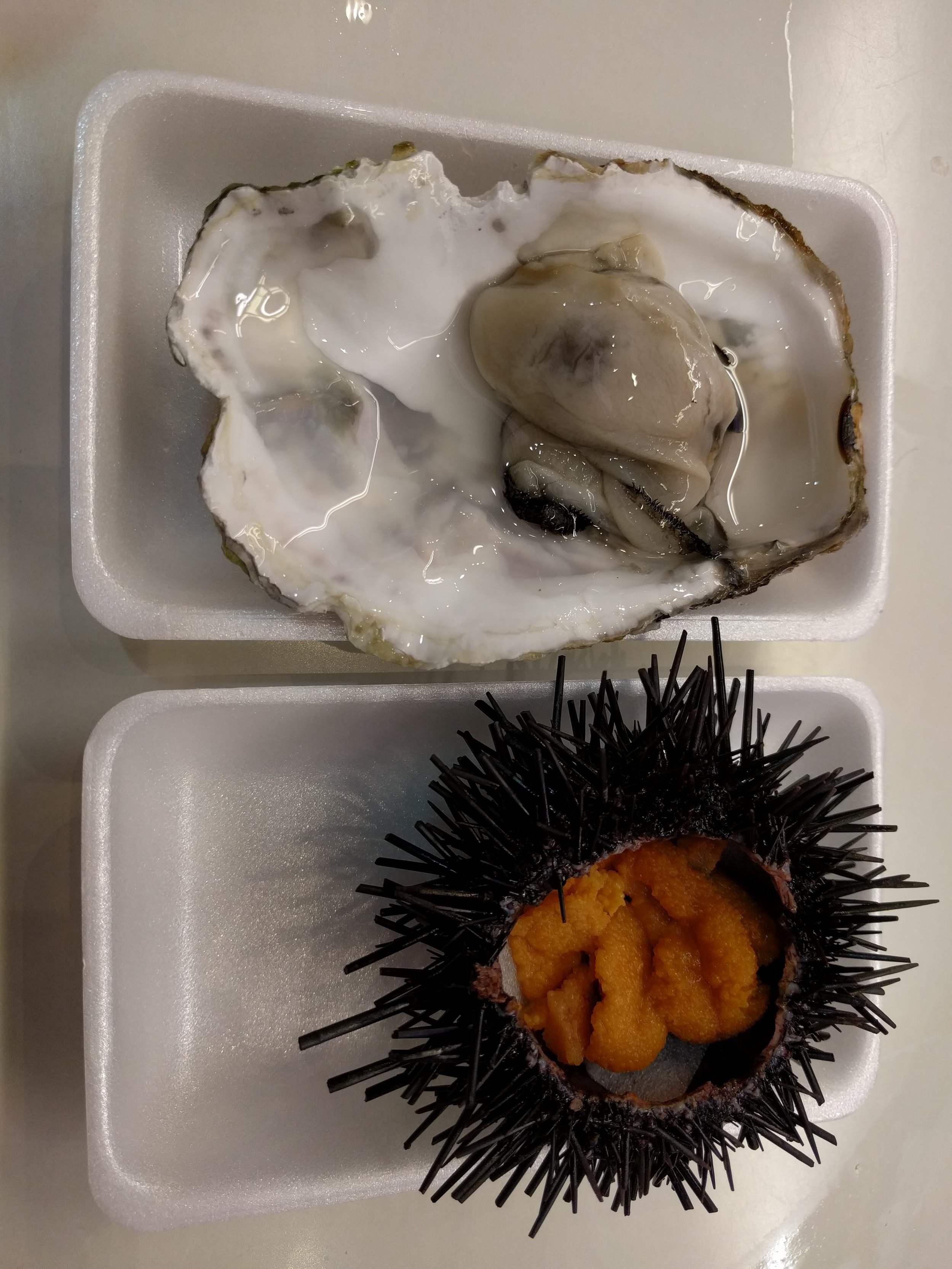 Fresh uni and oyster in the Kanazawa market