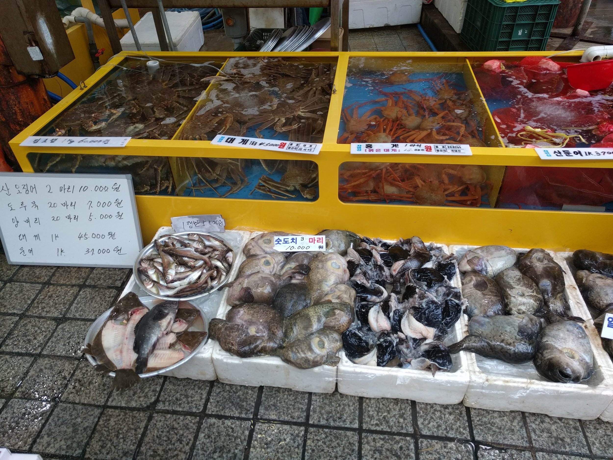 Crabs and fishies