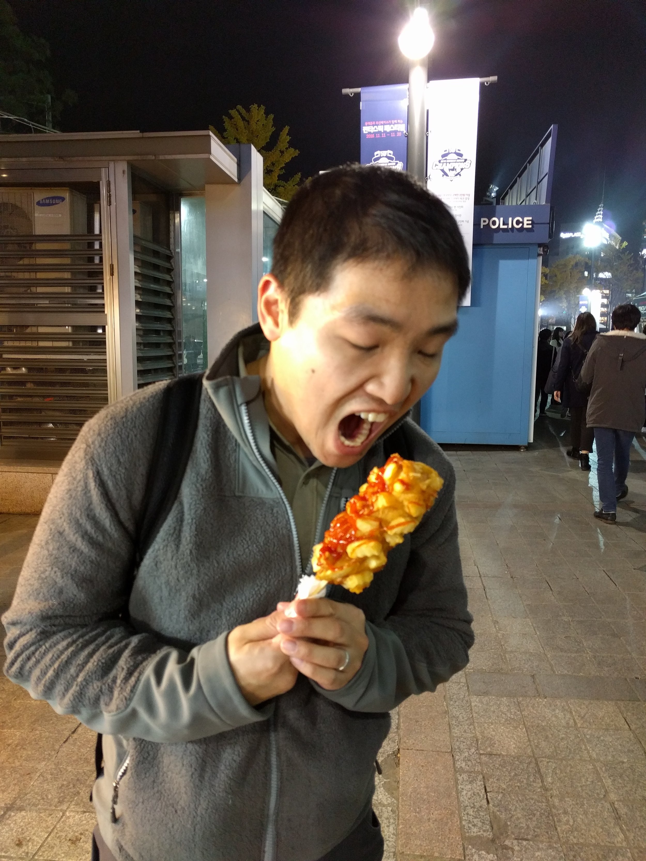 Hot Dog with French Fries