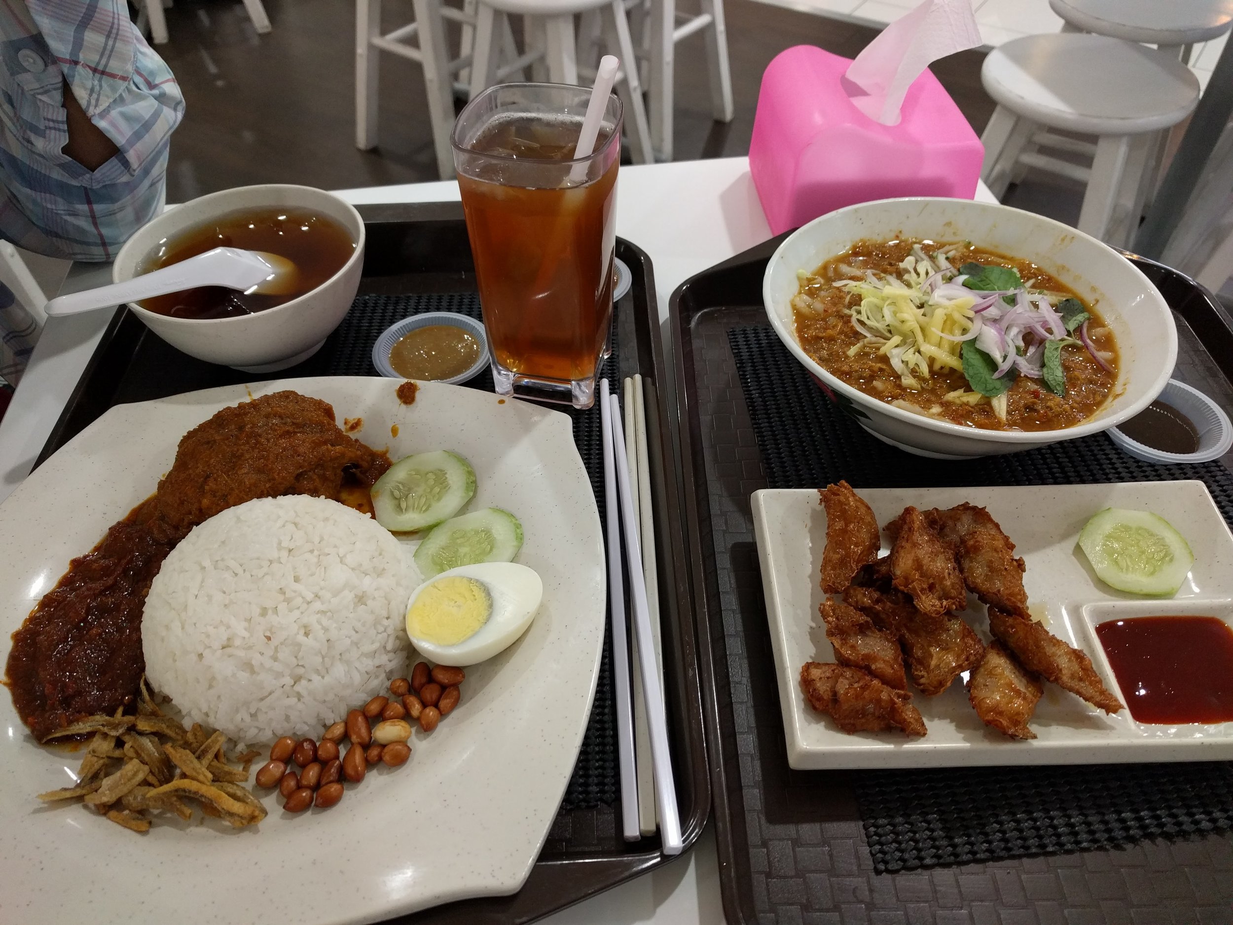 Laksa, chicken rolls, and chicken plate