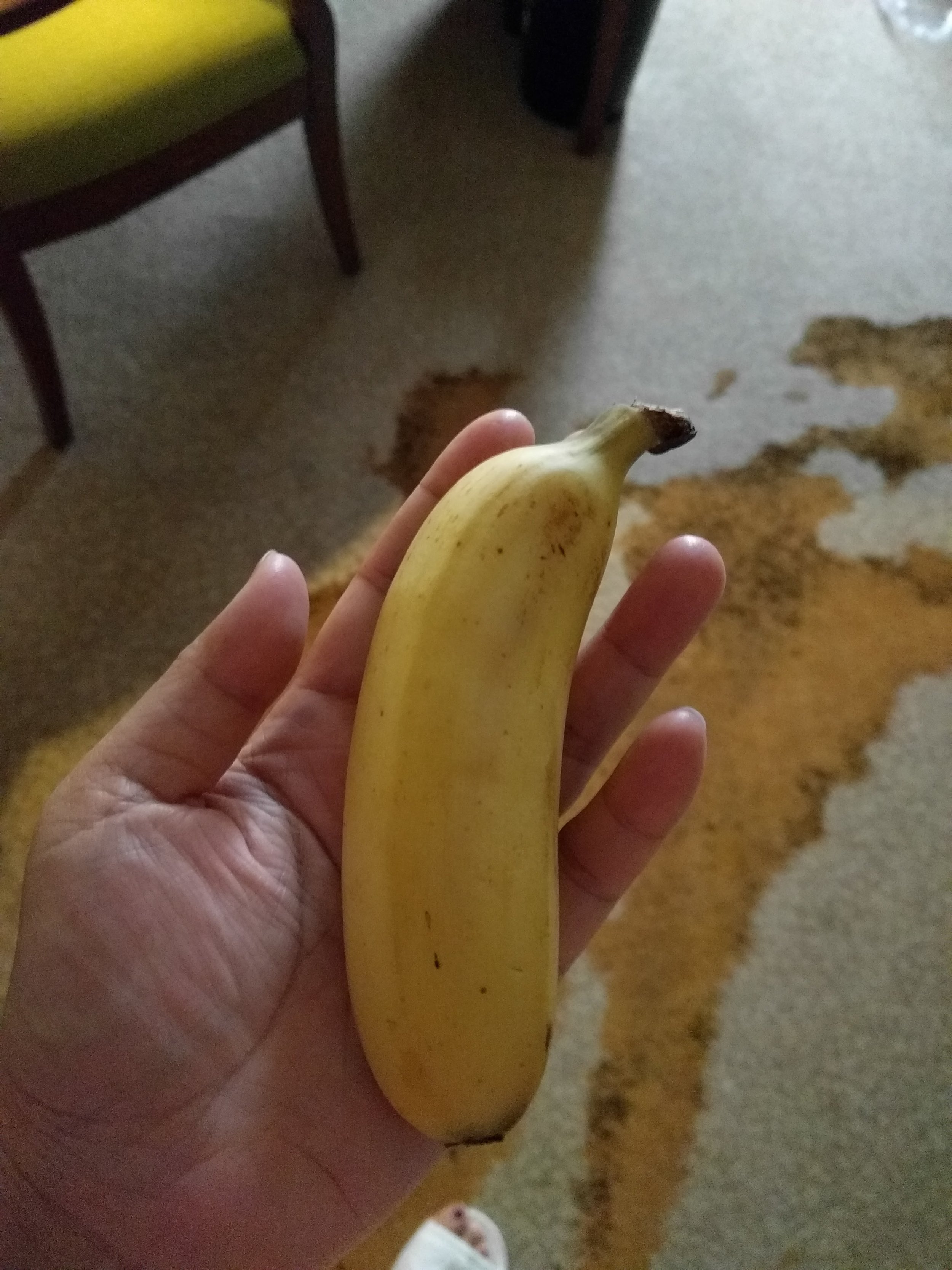 Tiny bananas!