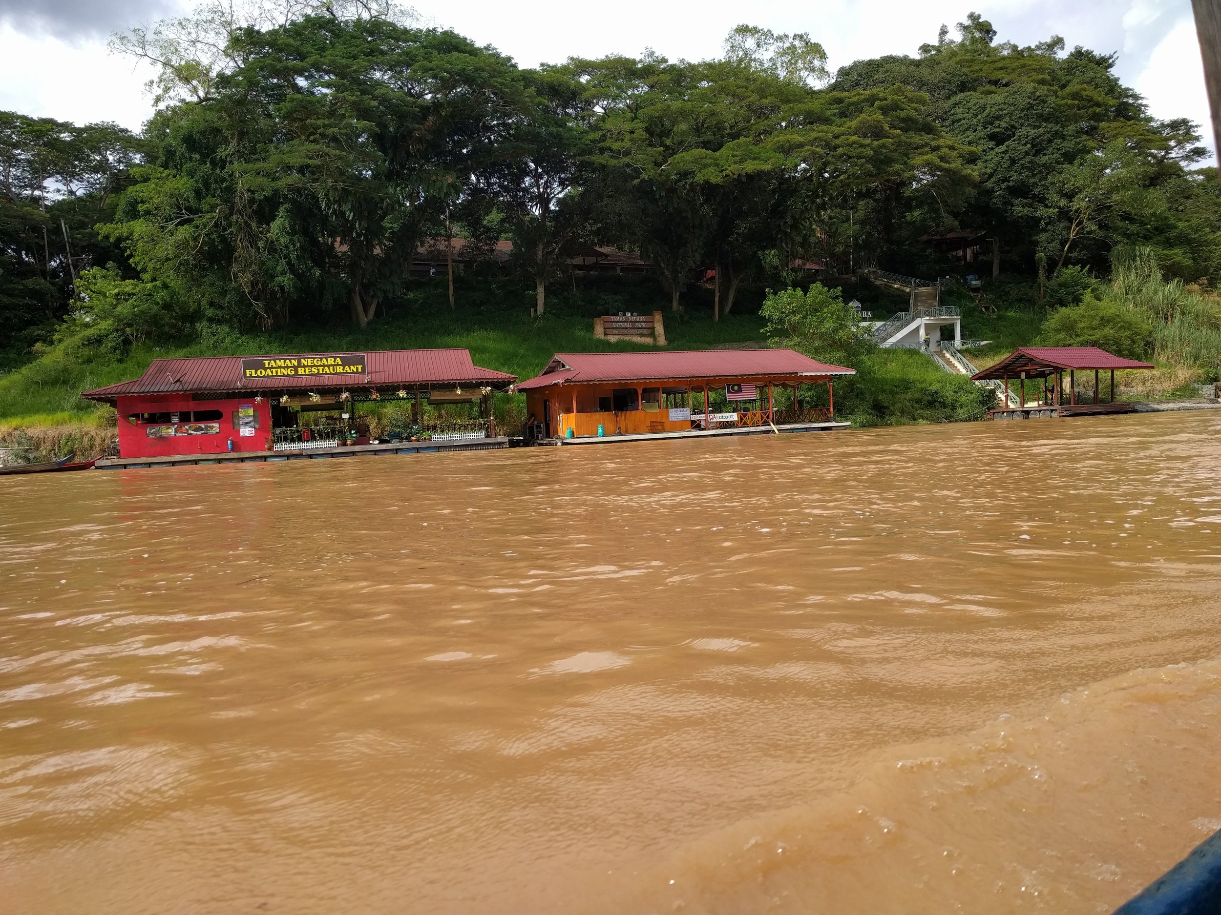 Approaching the rainforest