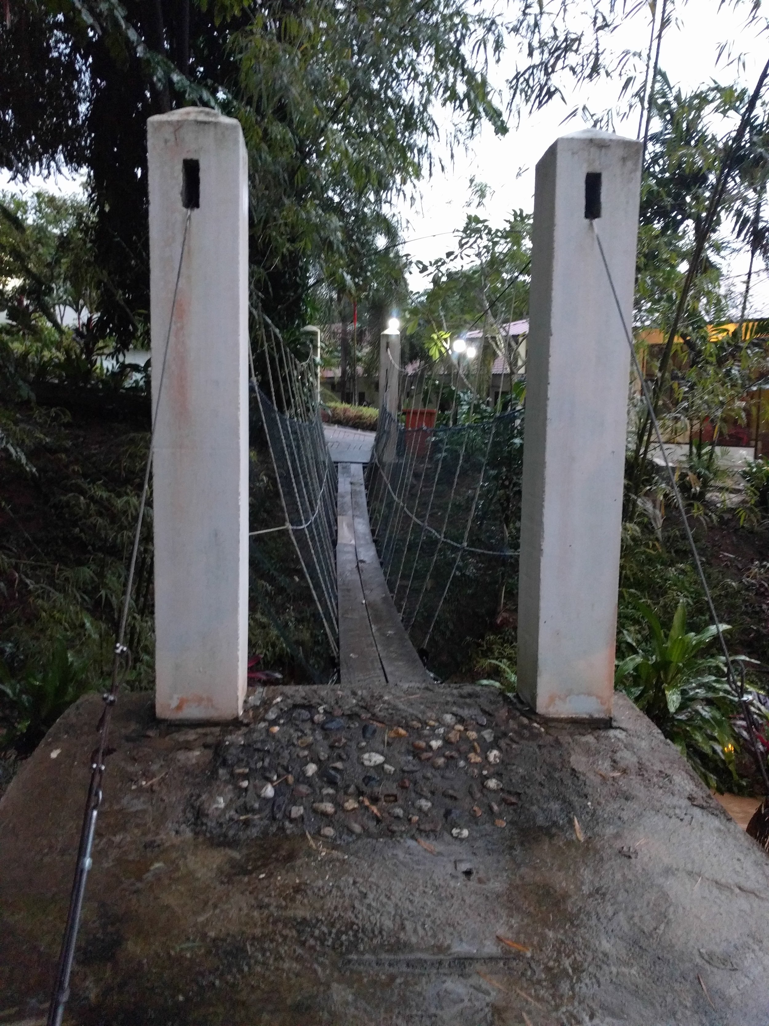 Mini canopy bridge at our hotel! Whoo hoo!