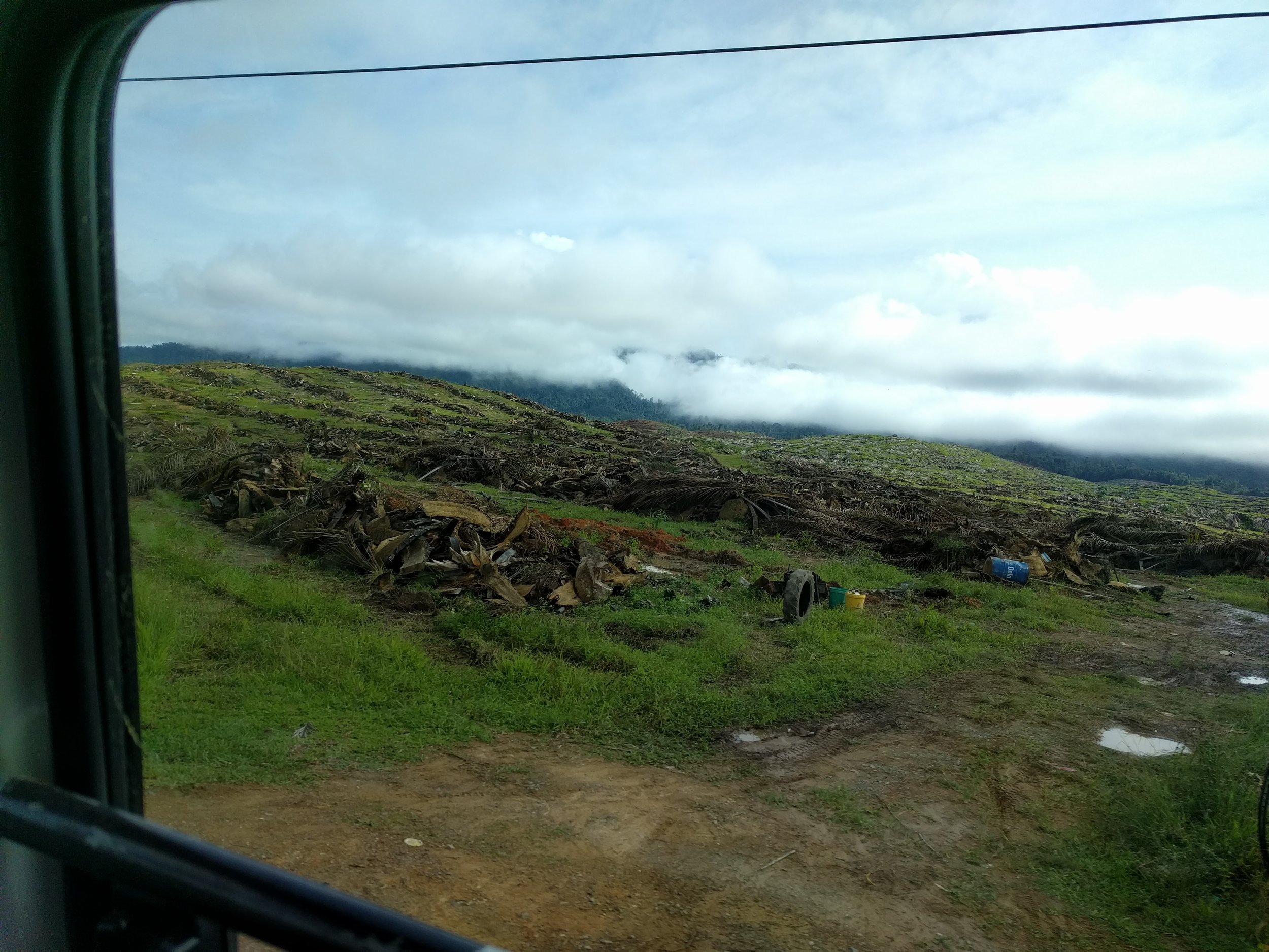 On the drive back to KL