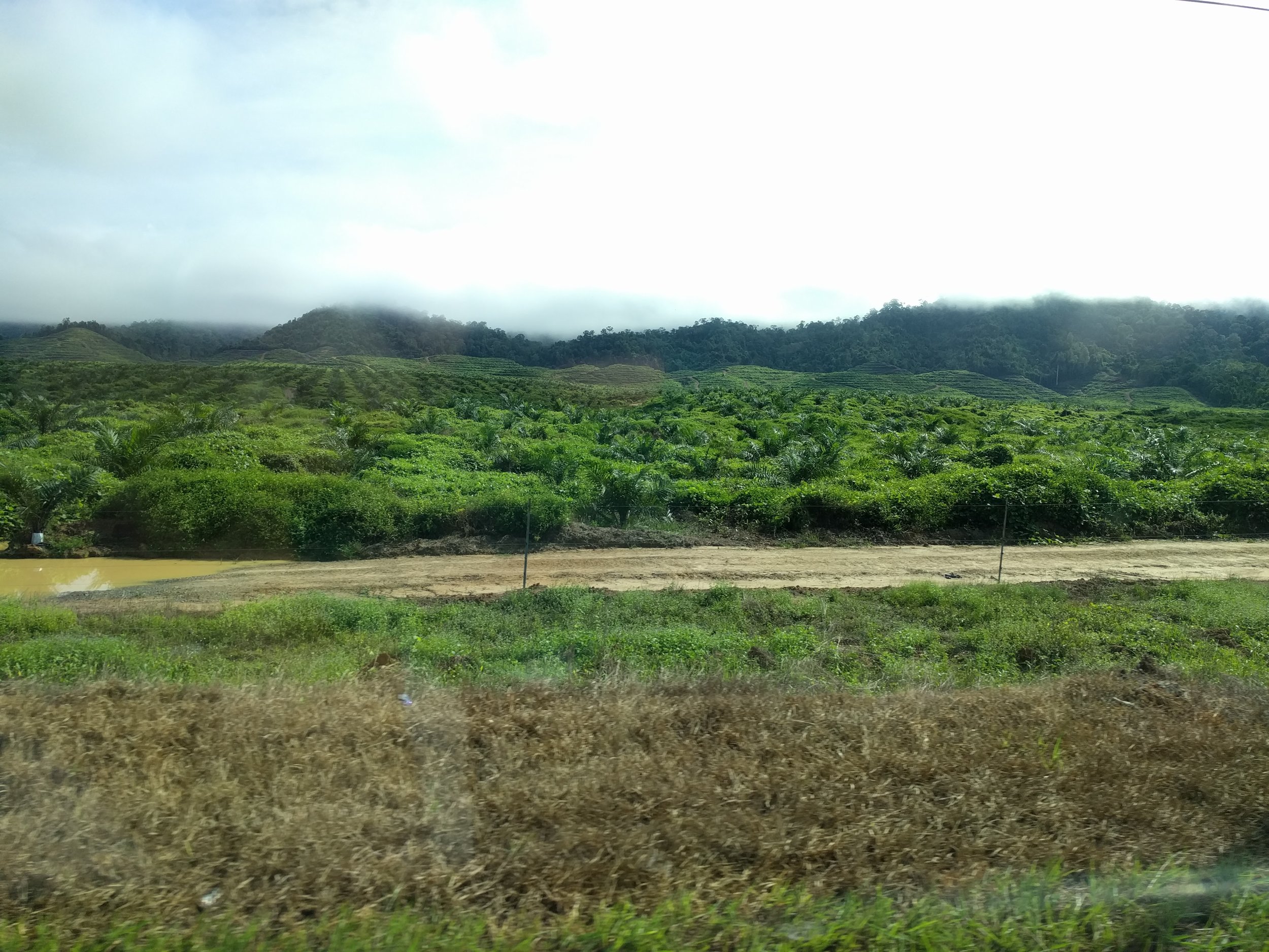 Road back to KL