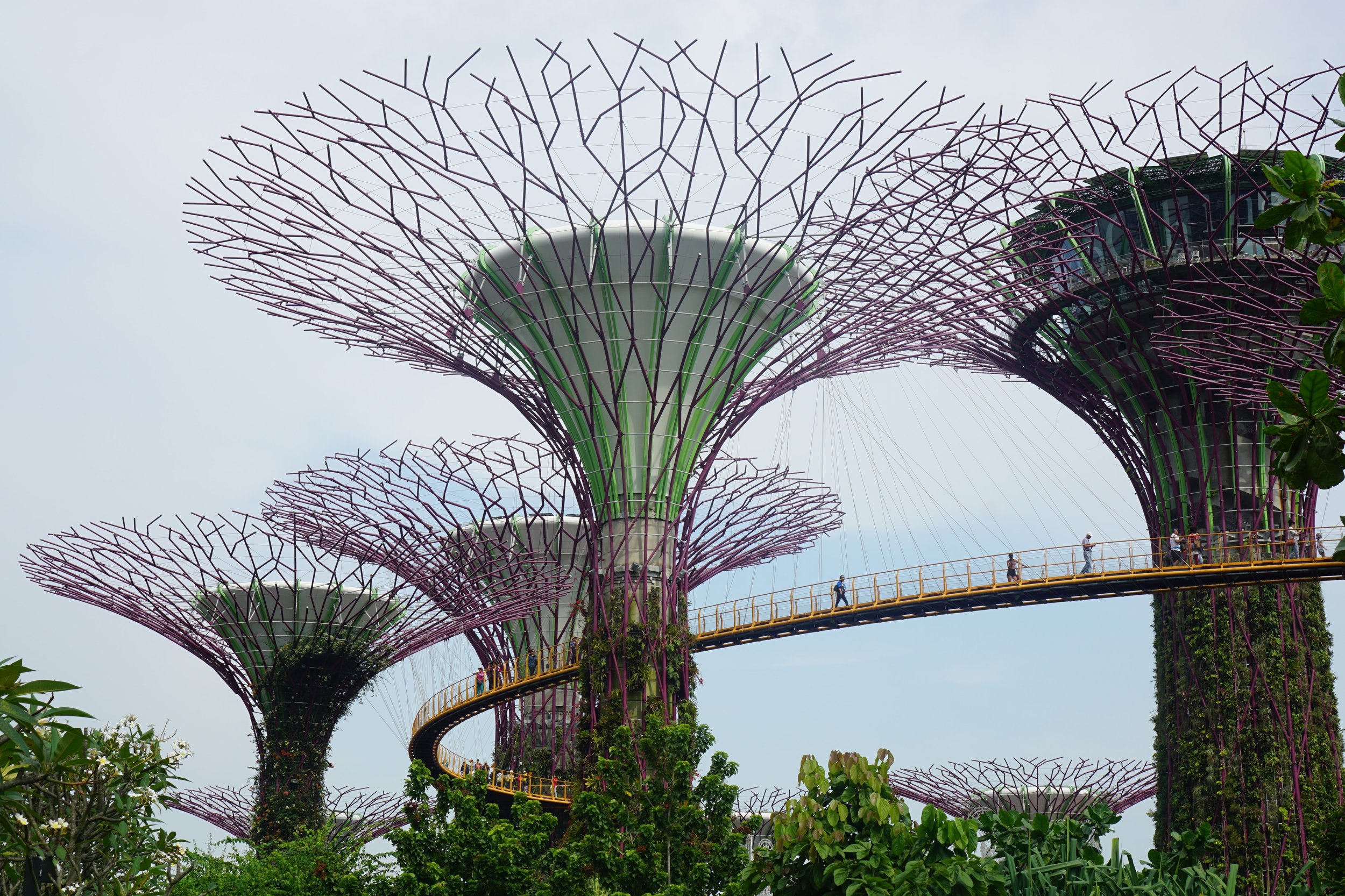 <p>These trees are carbon neutral and have lots of fancy mechanisms to help save/generate power and release heat and lots of other goodies that I forgot.</p>