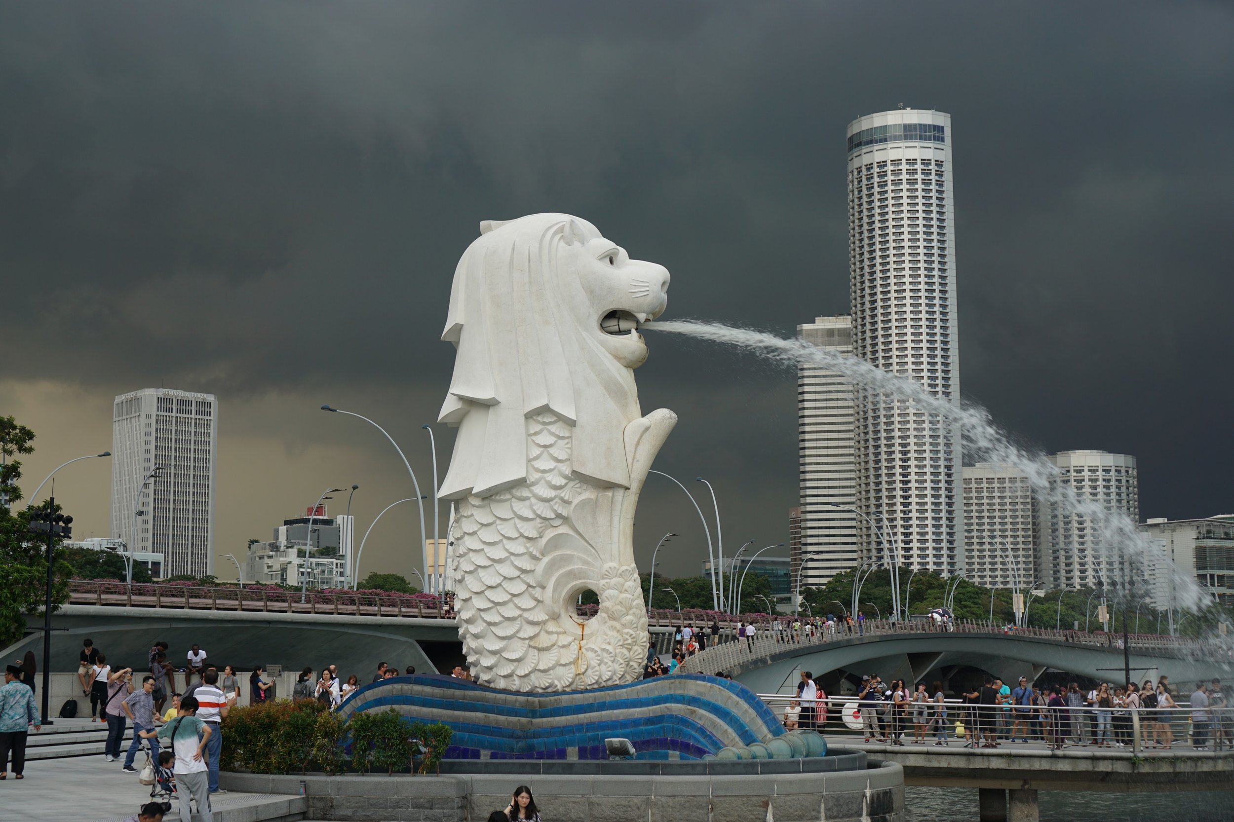 <p>Ft. thunderstorm in background</p>