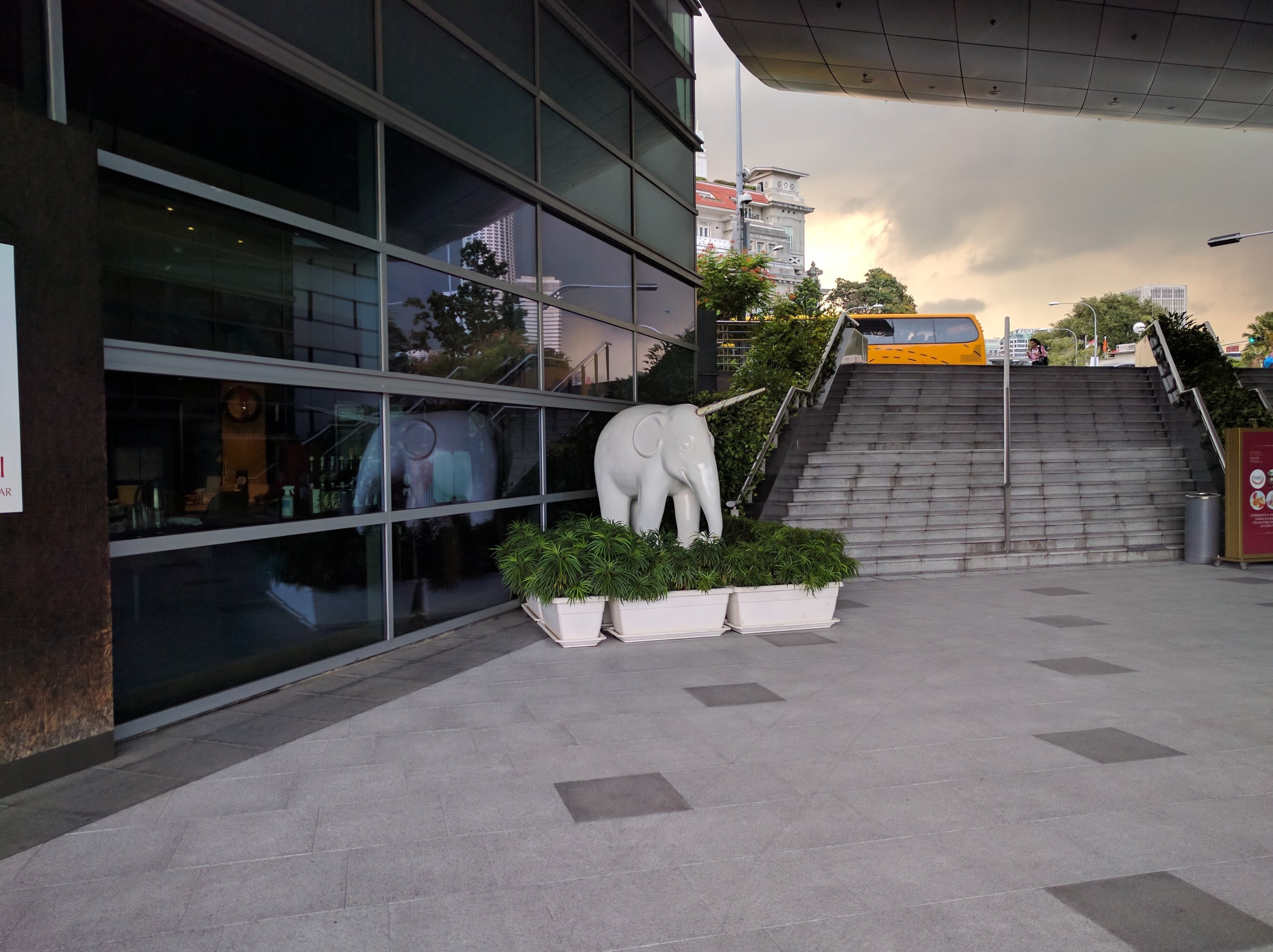Uni-elephant?