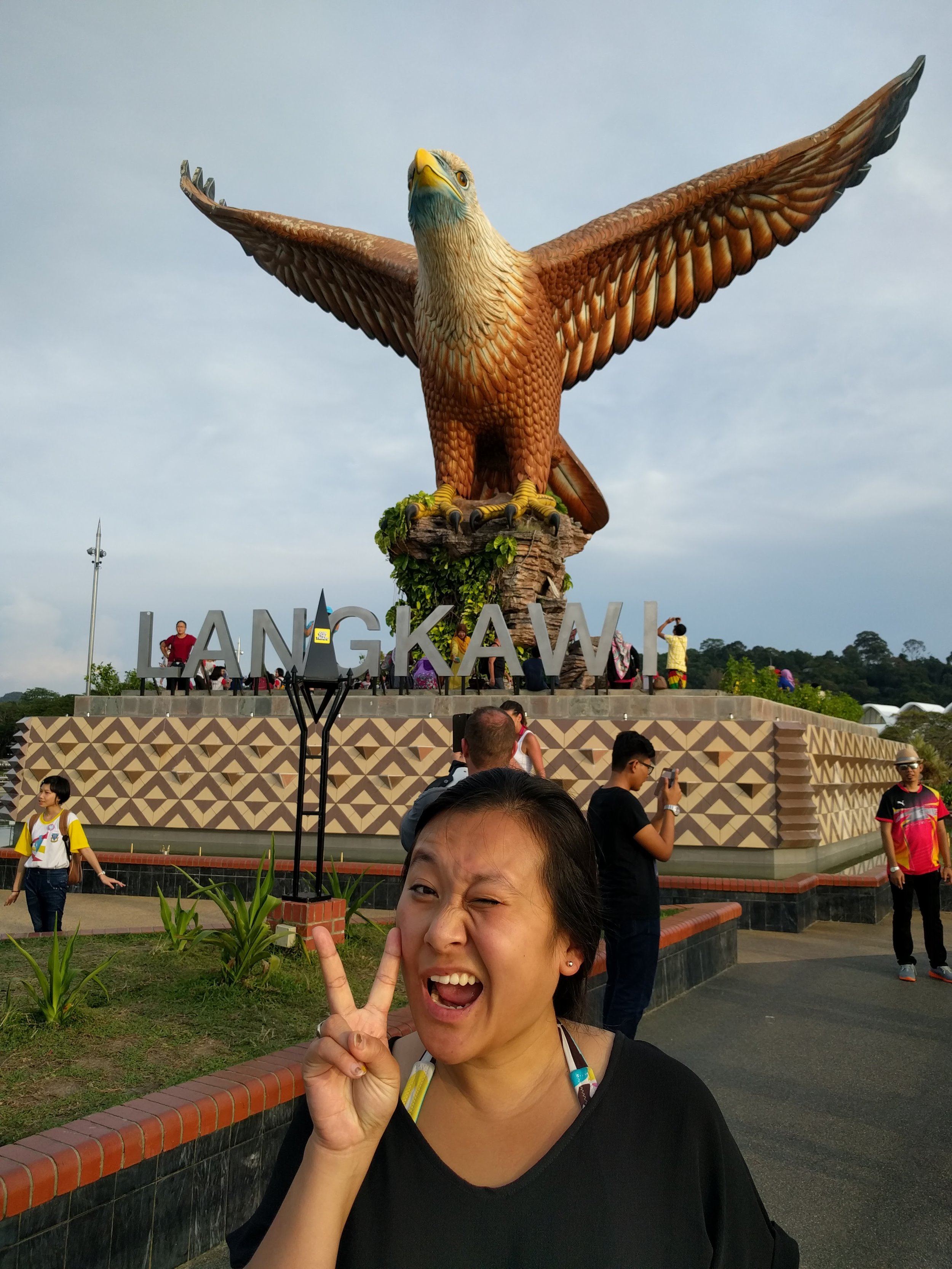 Hi eagle