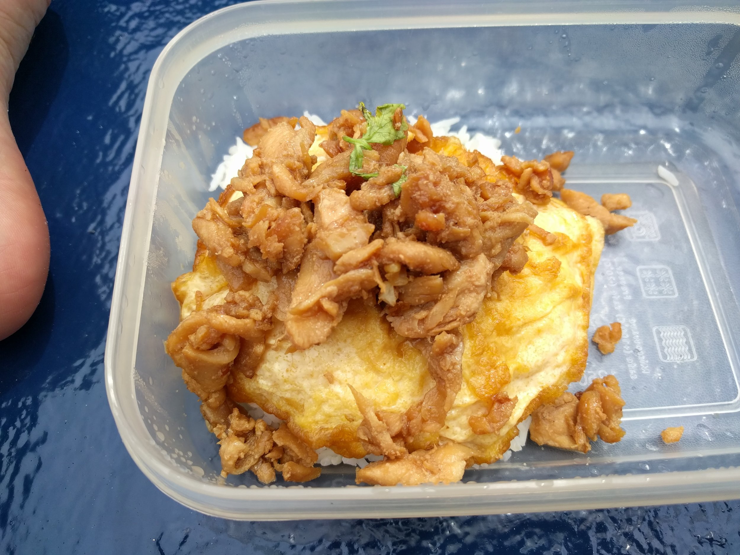 Lunch! Rice, omelet, and pork (?)