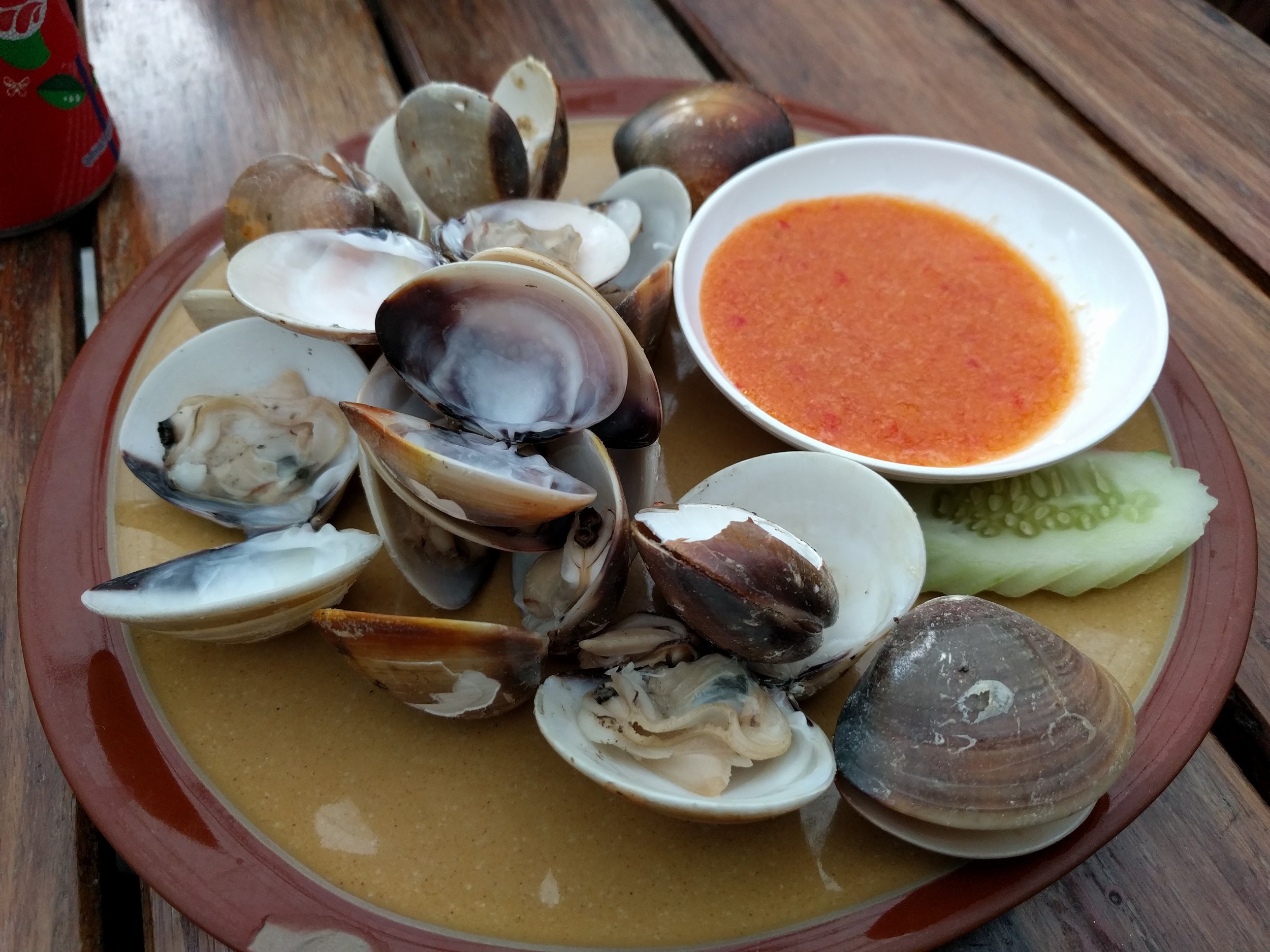 Clams