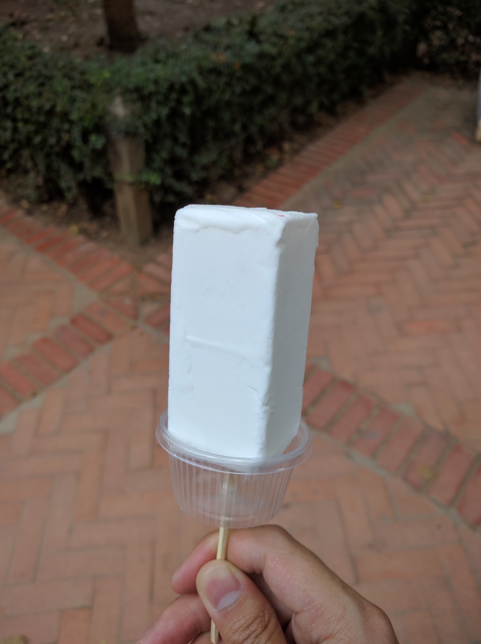 Coconut ice cream in Ayutthaya