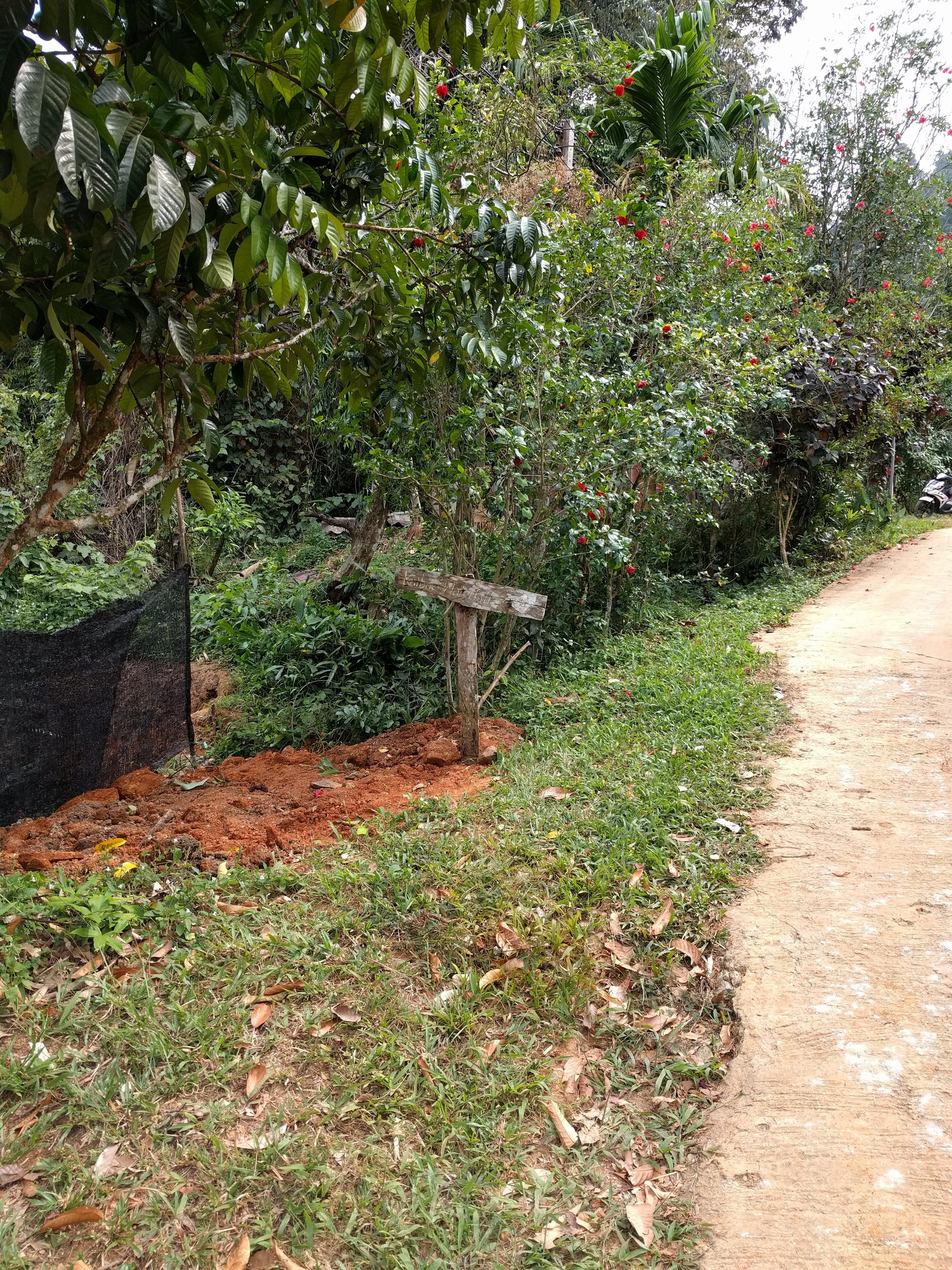 That little wooden sign is the trailhead marker