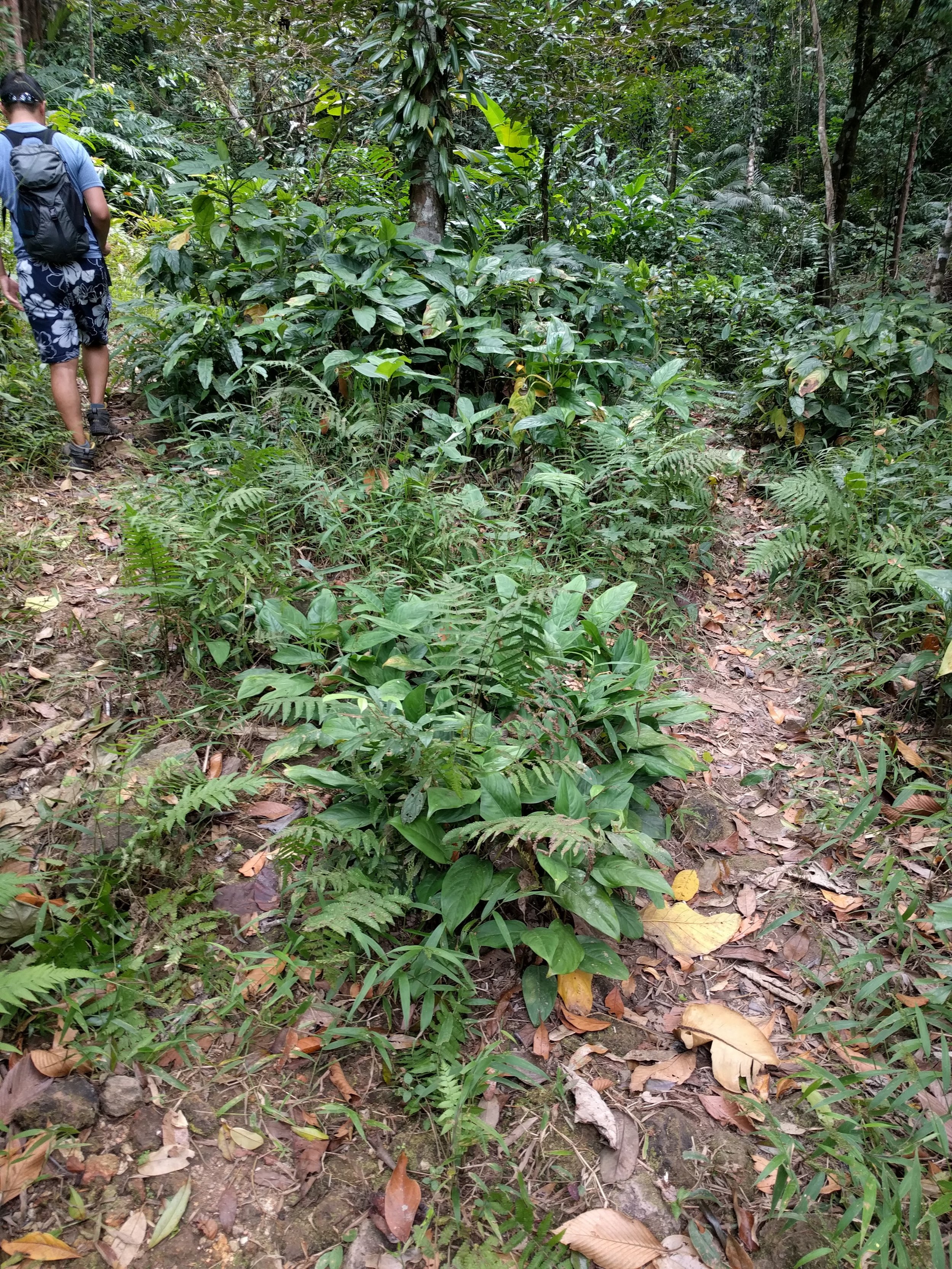 Following the trail was a lot of guesswork