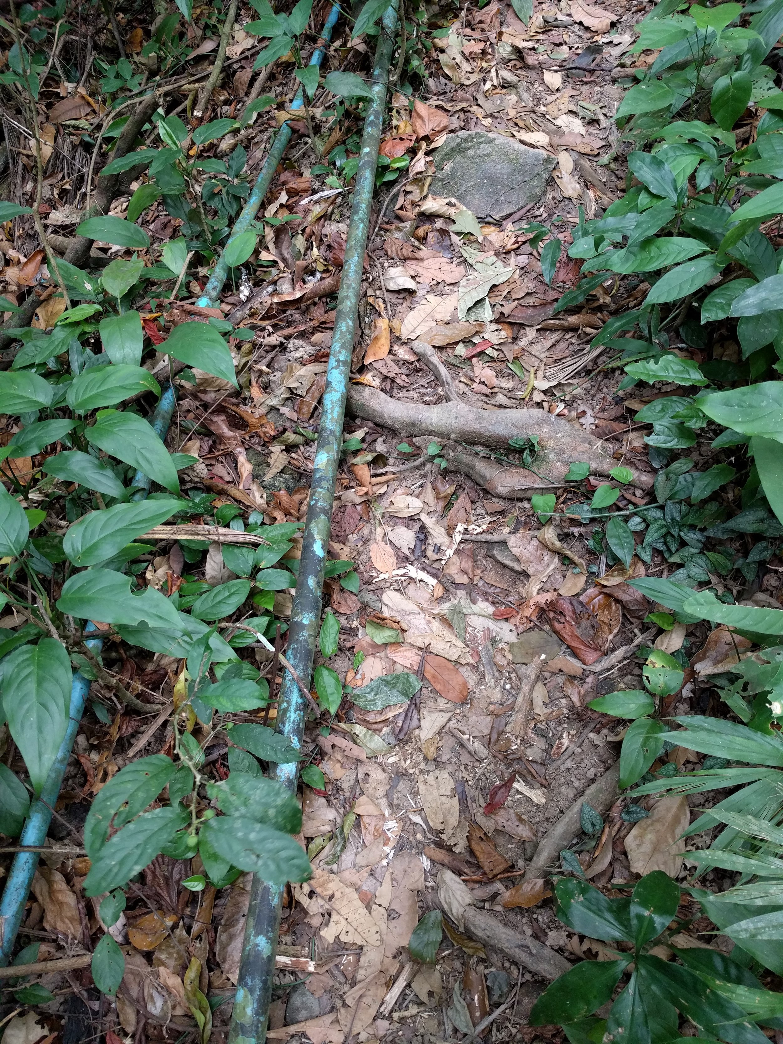 Eventually we came across the blue pipes and could follow them