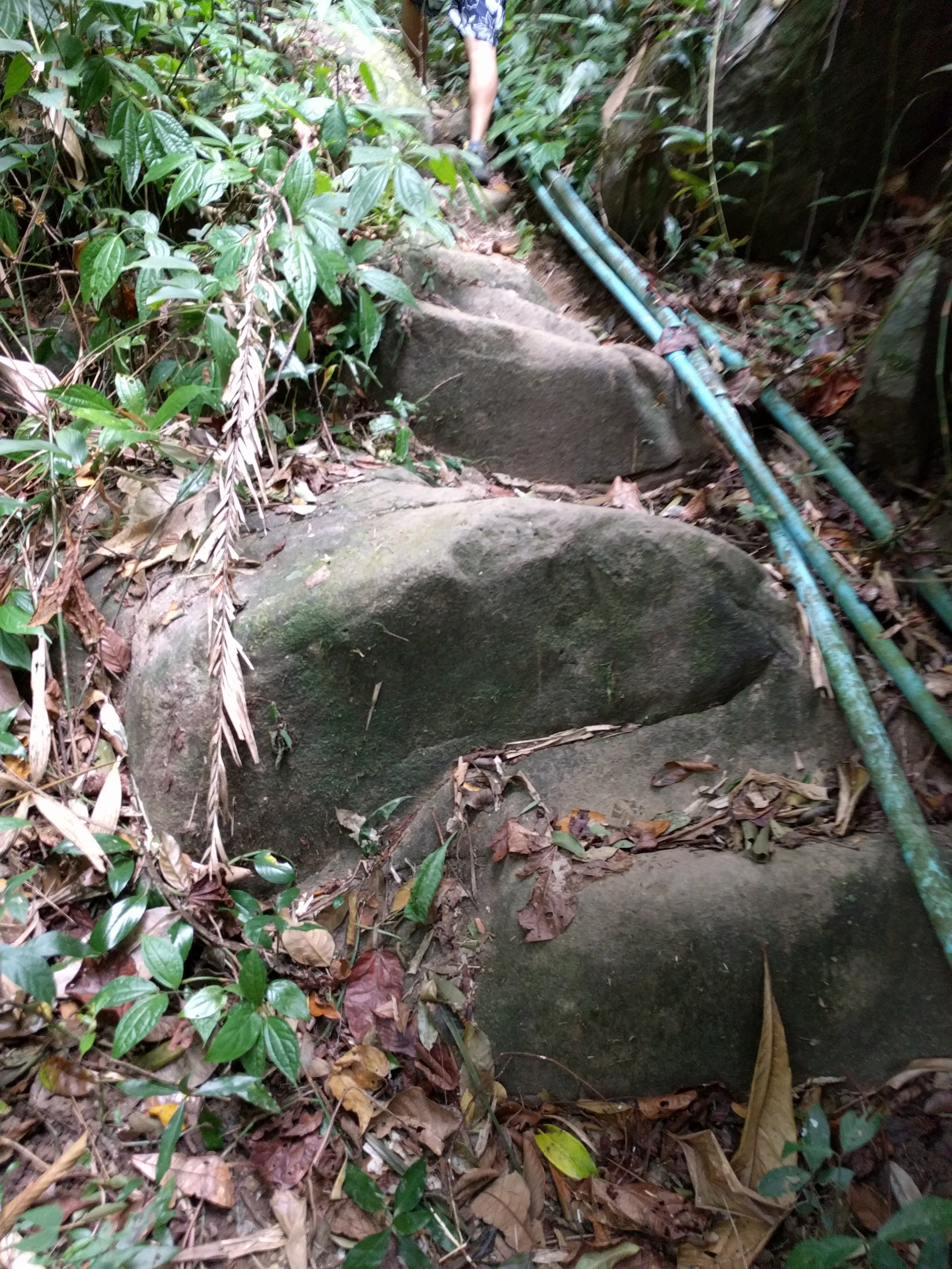 Some rock climbing involved