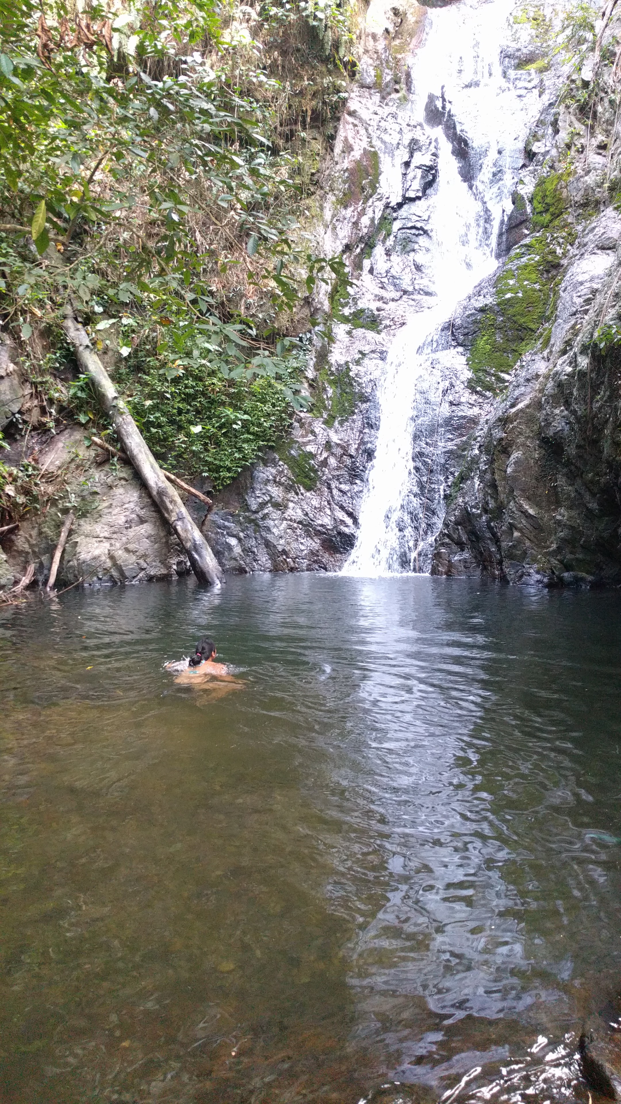 Swimming in my own private waterfall