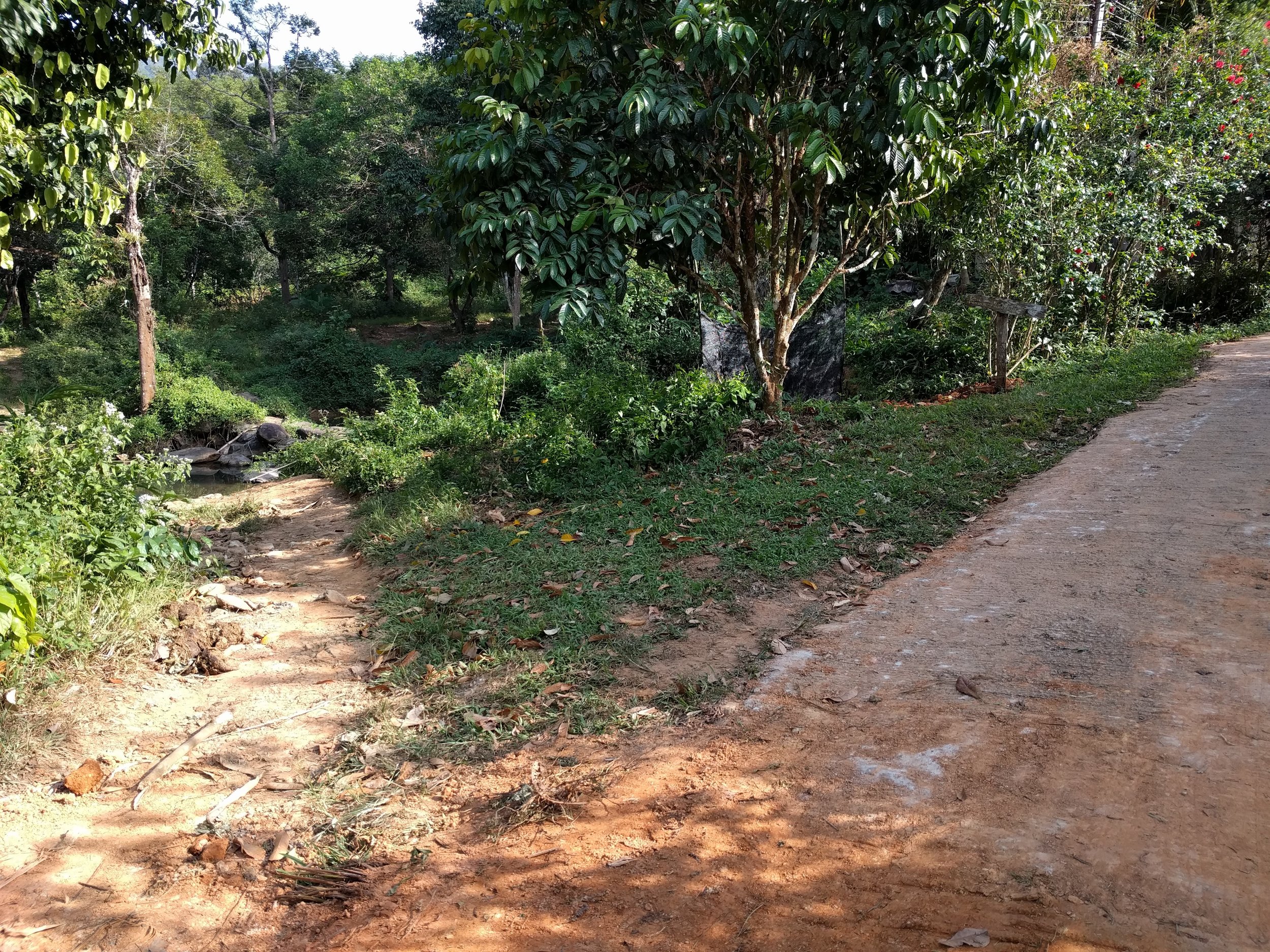See the sign in the back? we took the path on the left