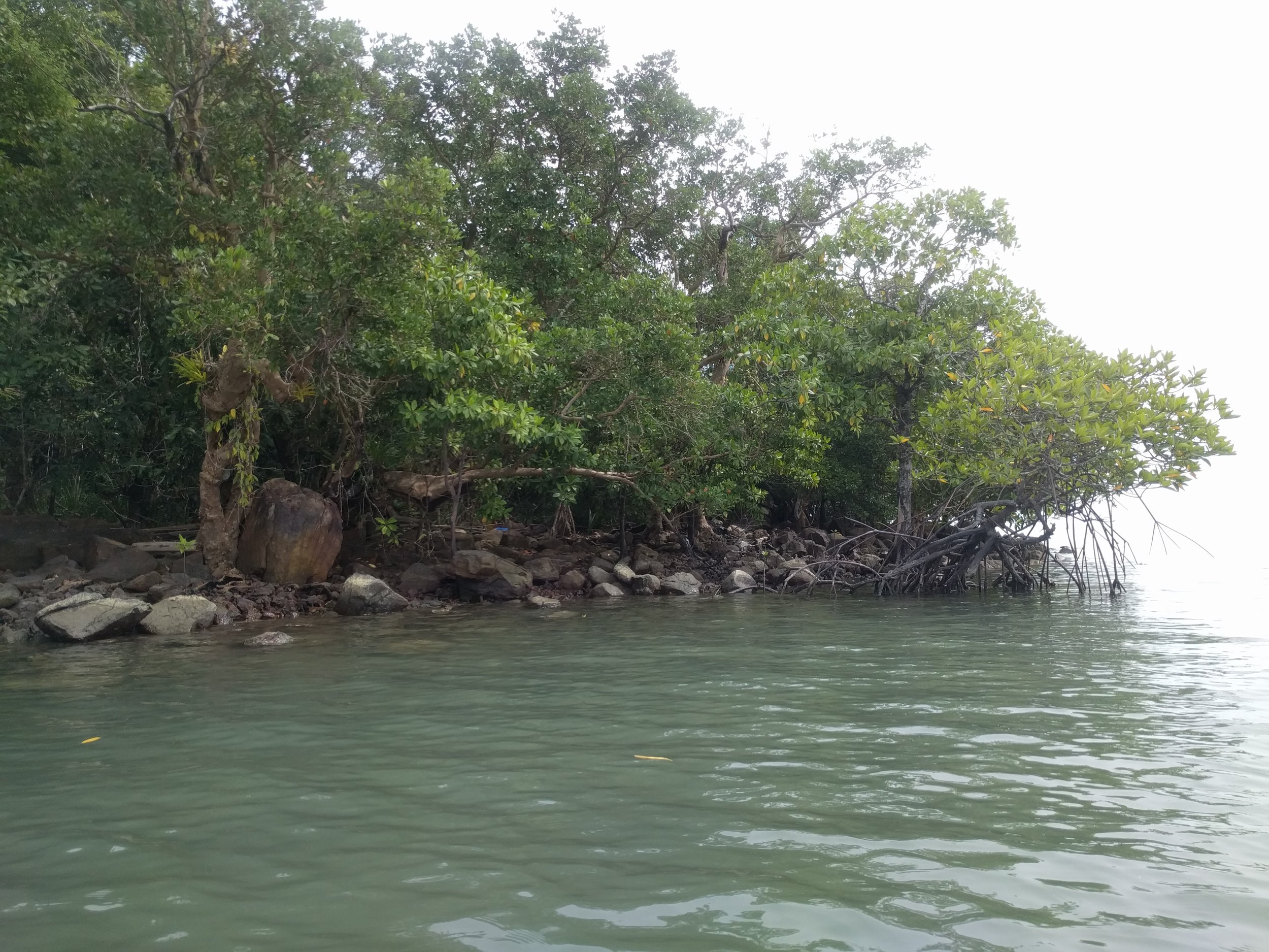 Tons of little islands dotted throughout the bay