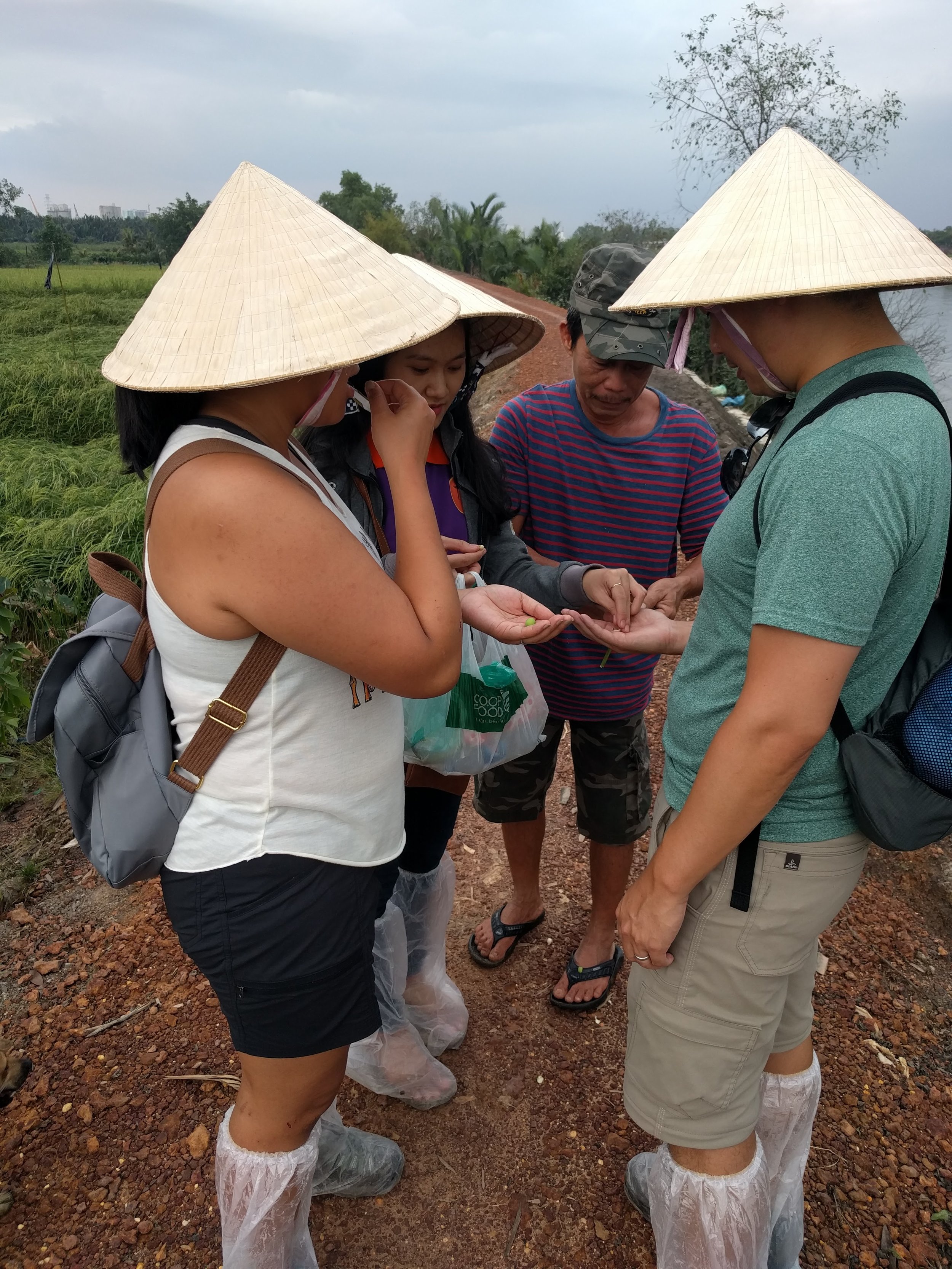 Farmer giving us fresh lotus seeds