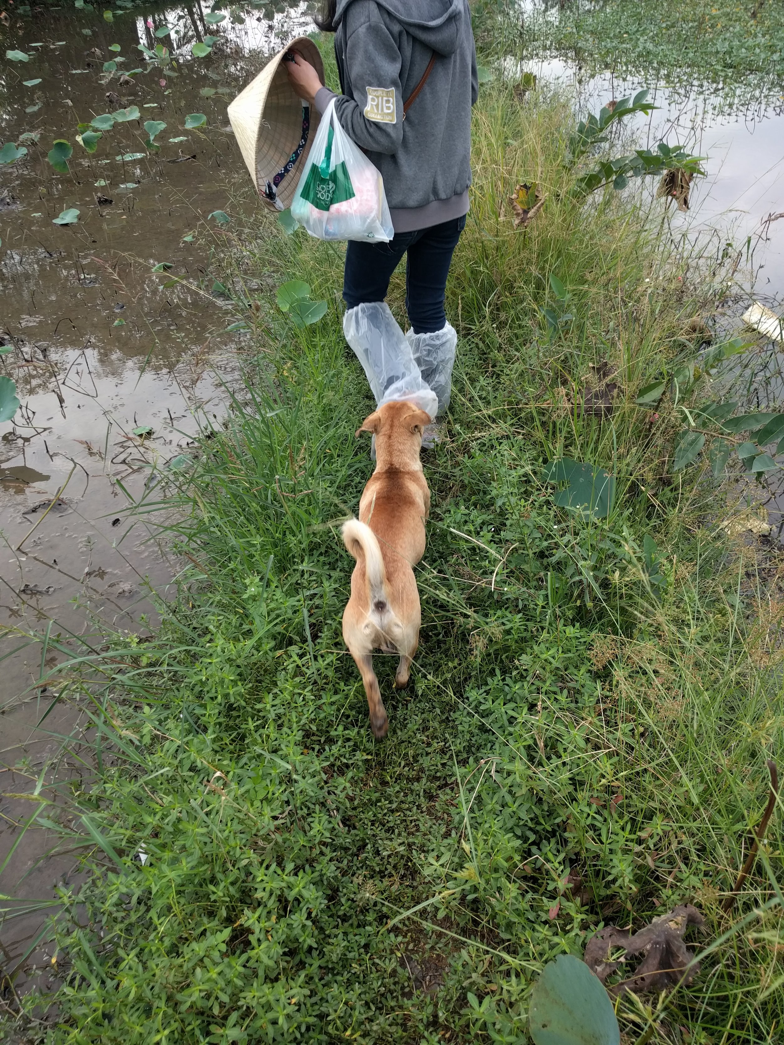 Farmer's dog kept running around us