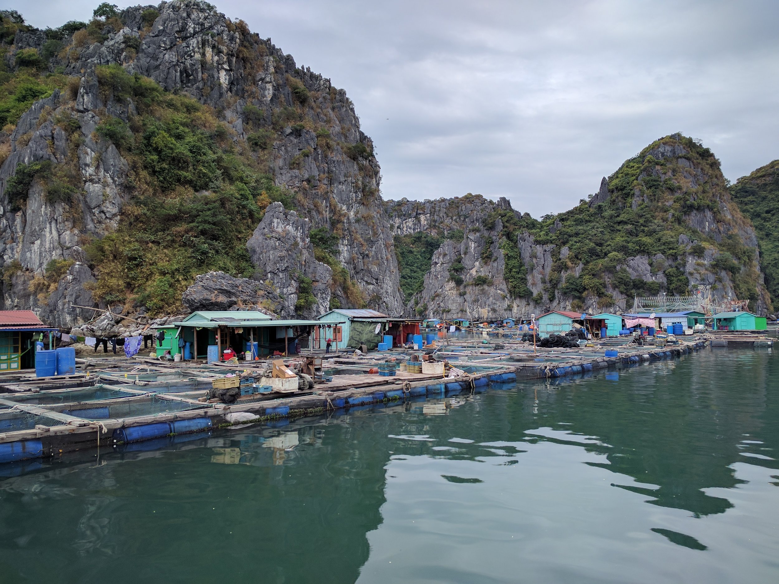 floating market