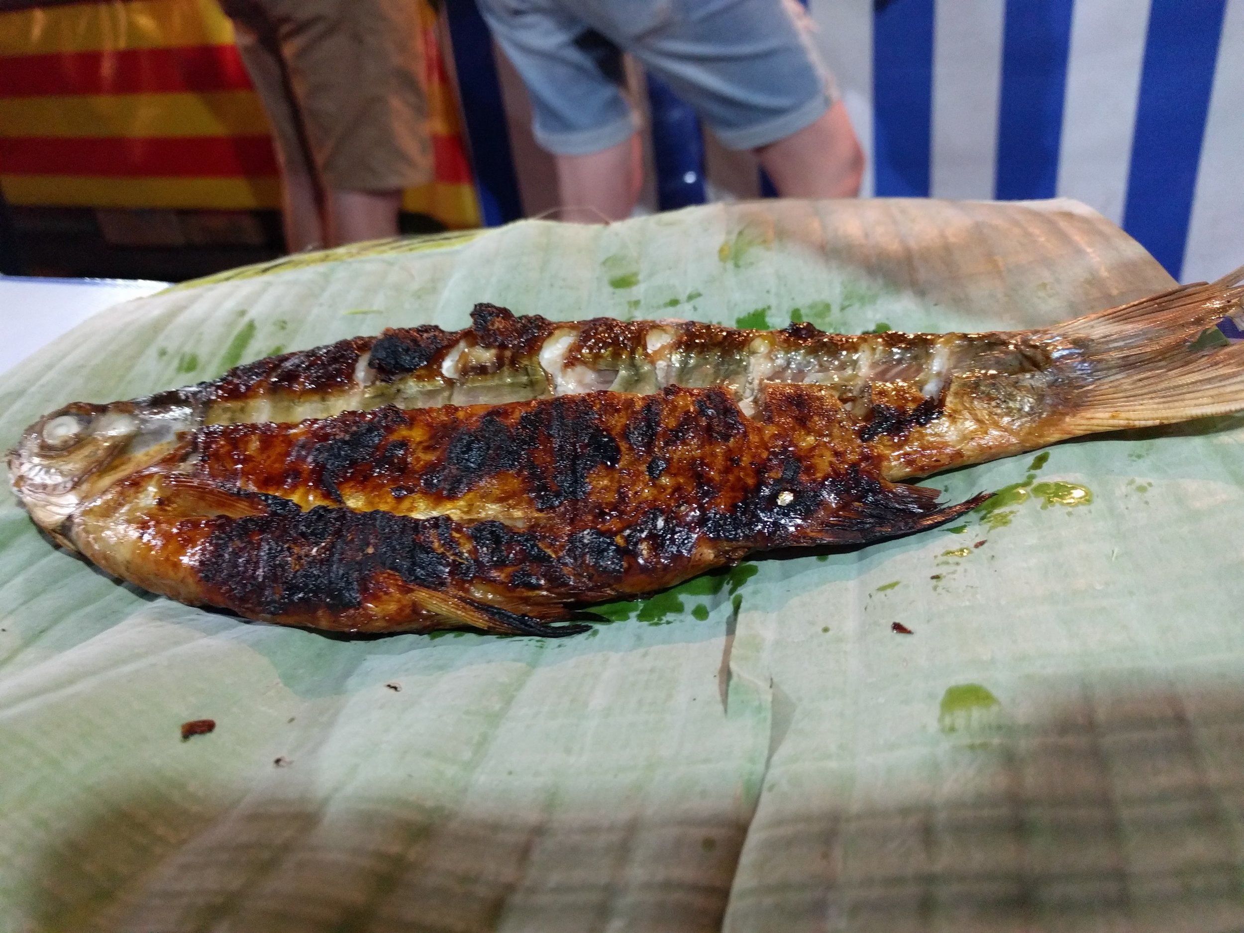 Grilled fish