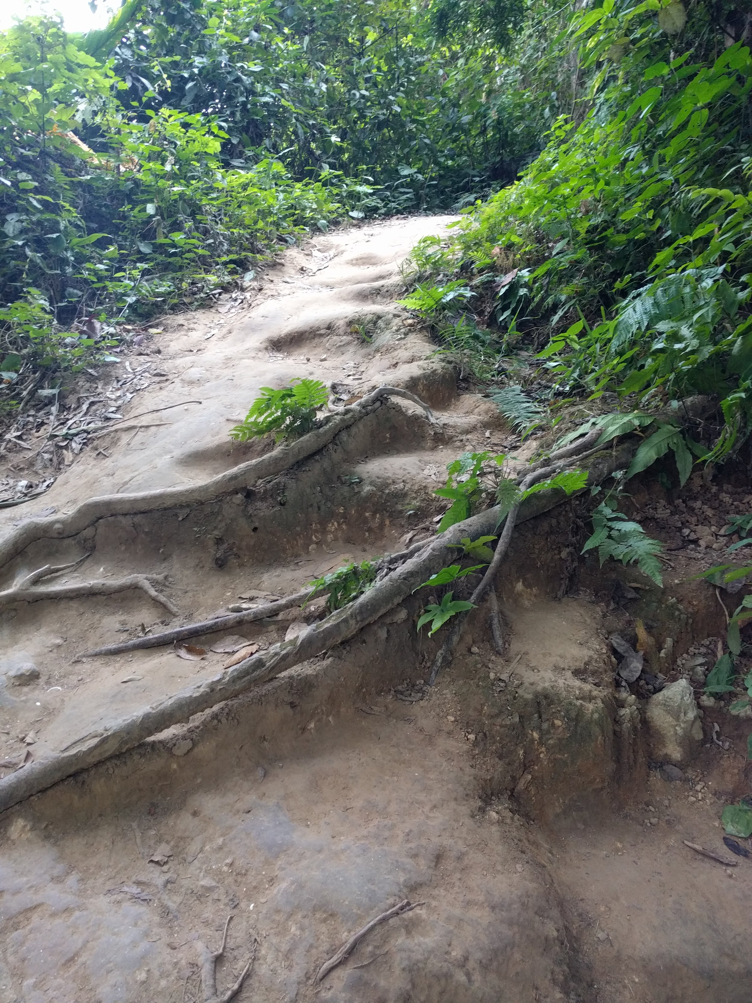 trail up to the top of the waterfall