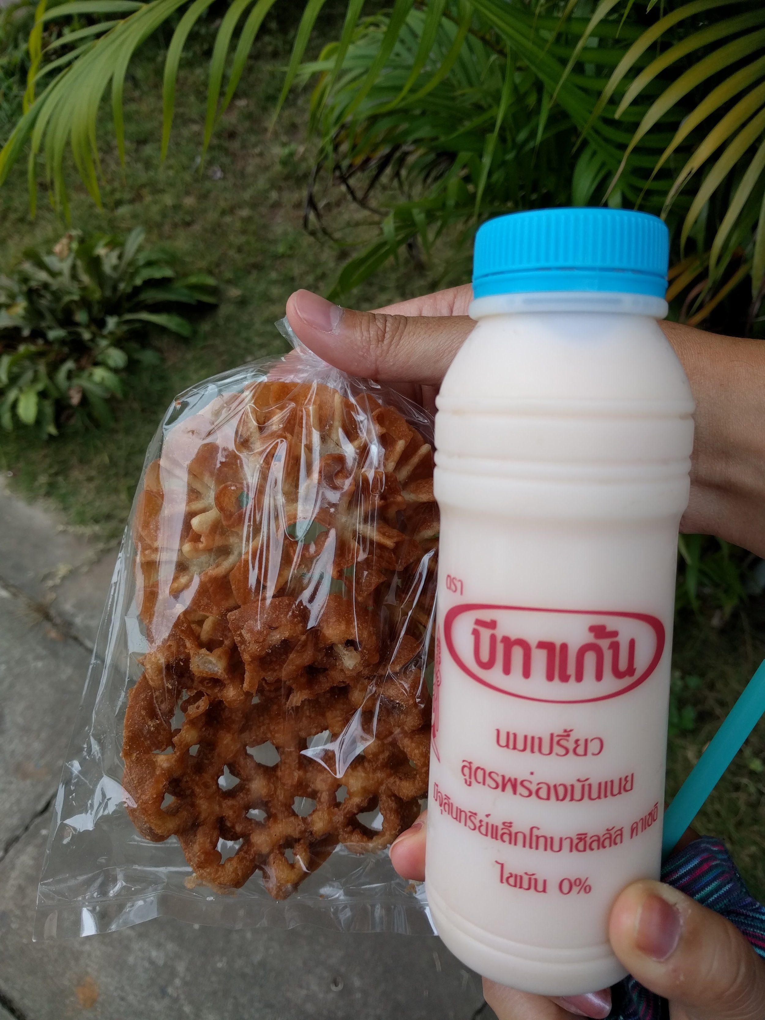 Lotus root cracker and yogurt