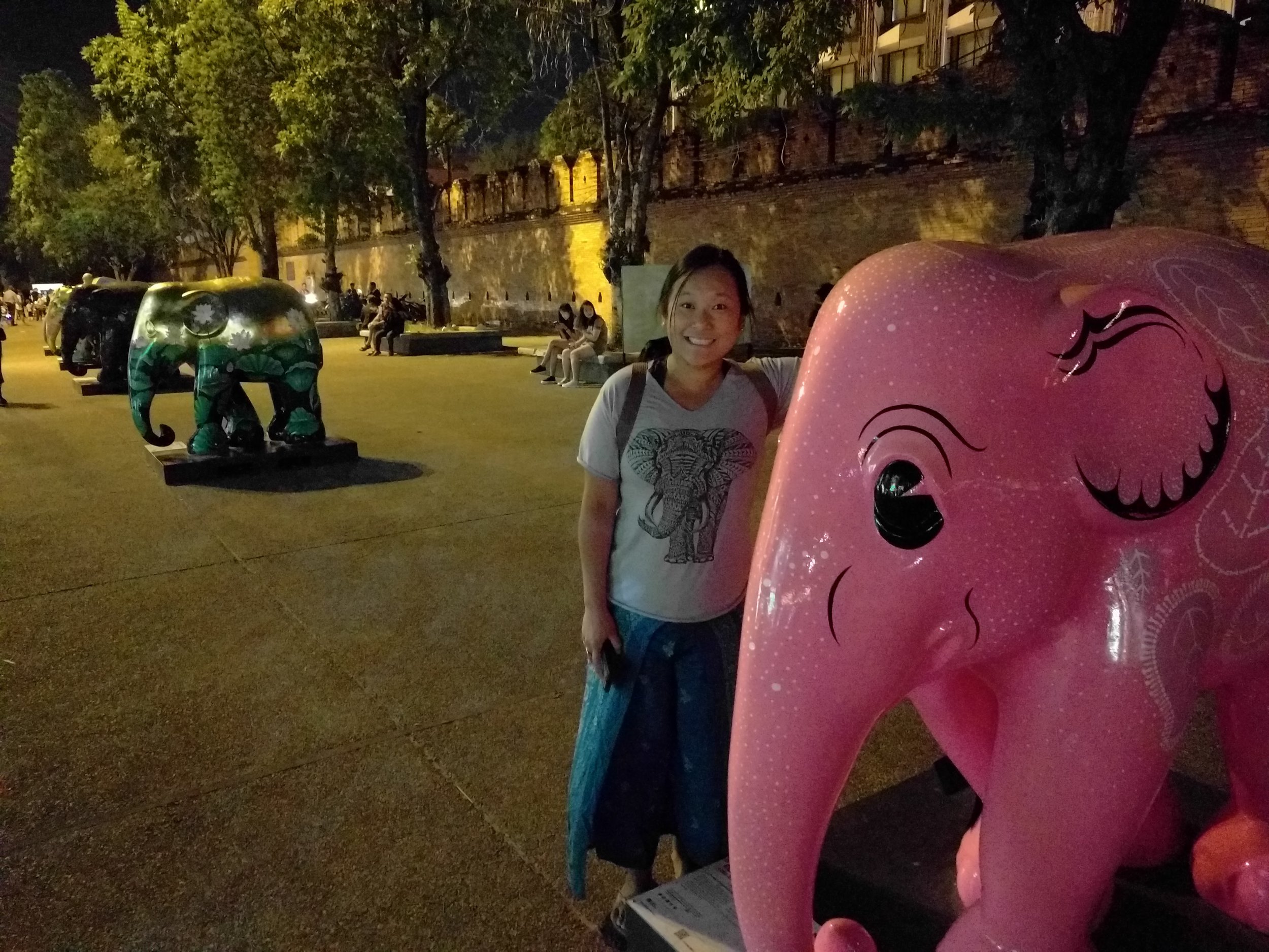 someone's excited about elephants