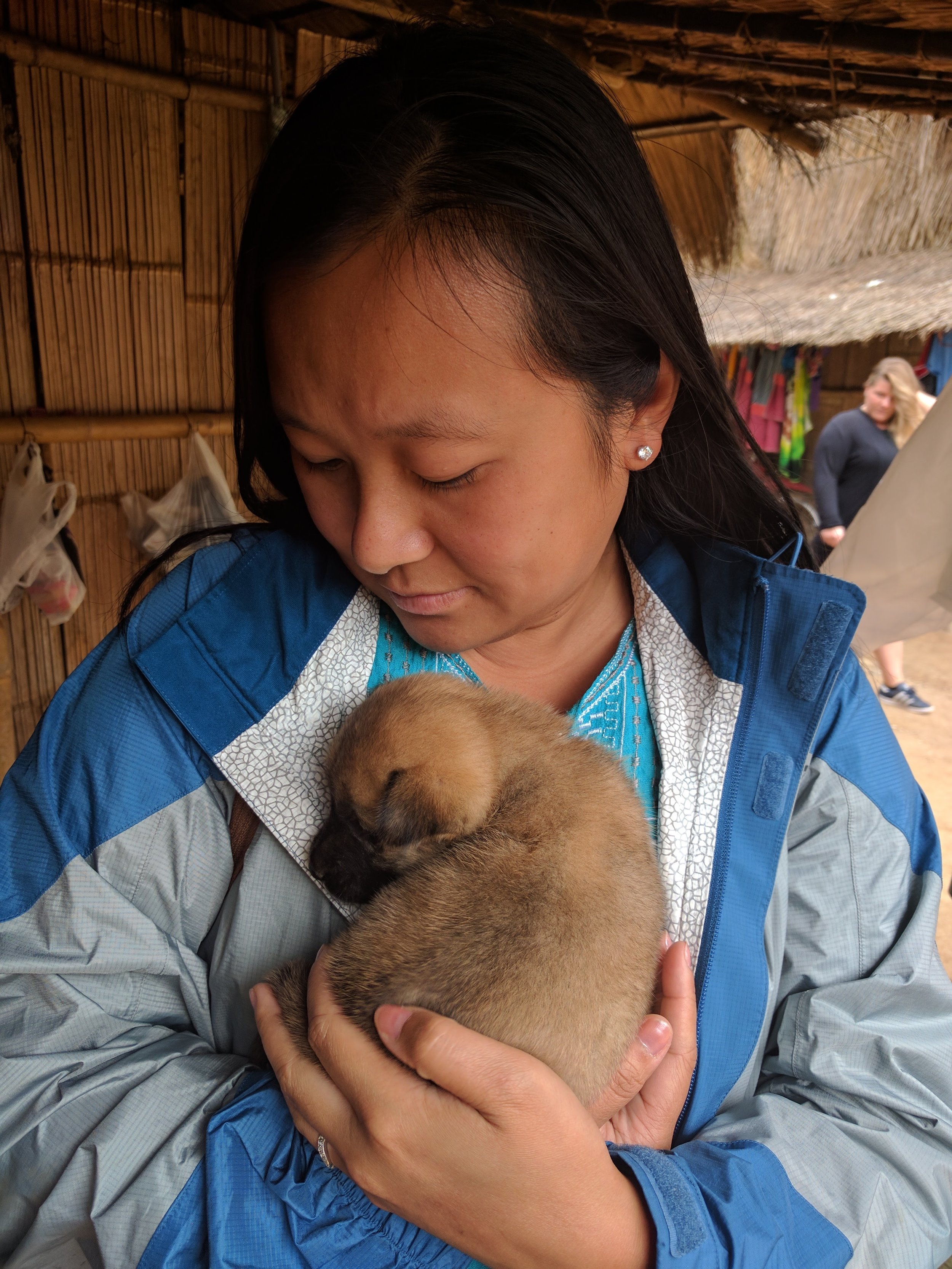 puppy at hill tribe