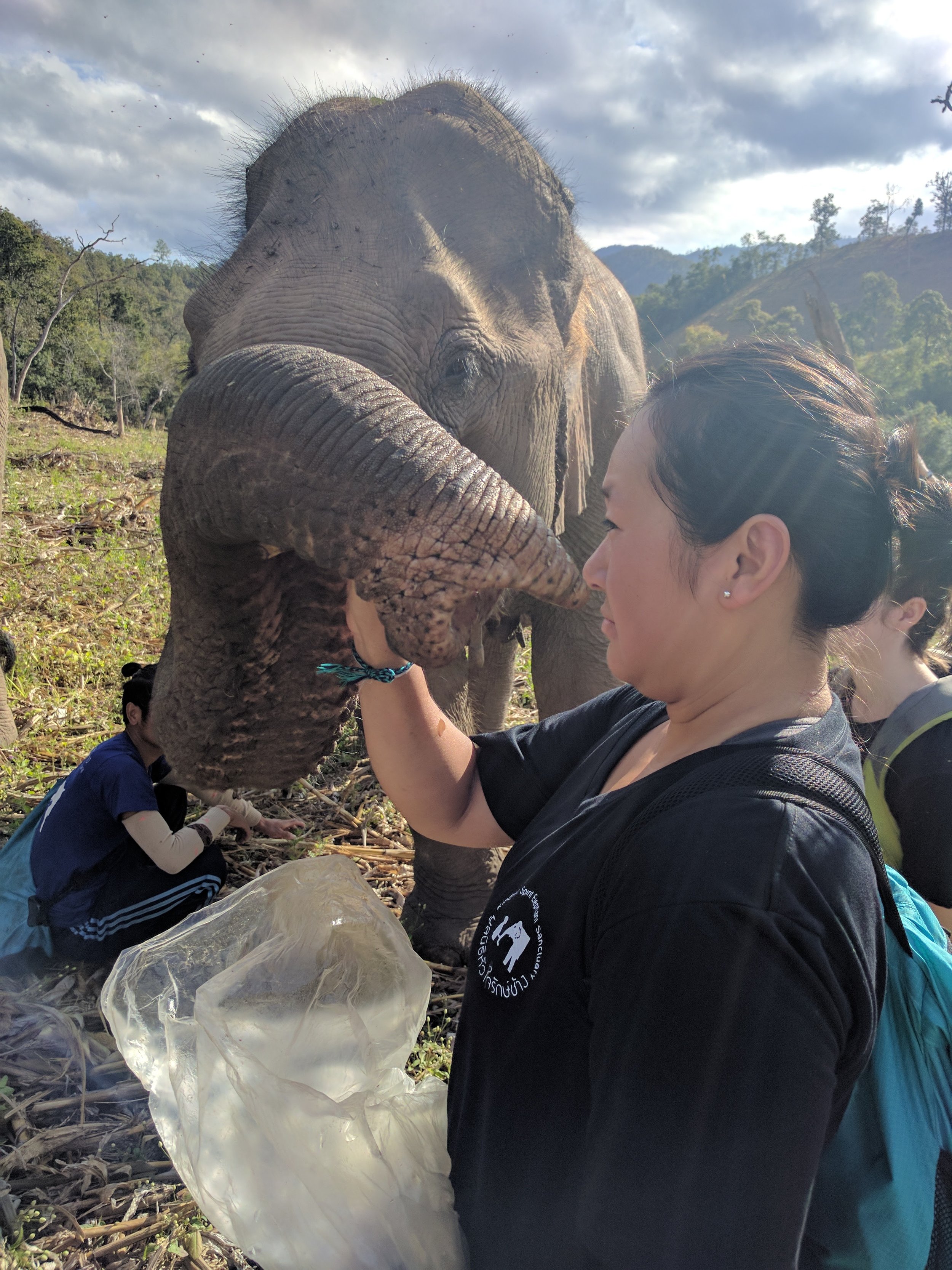 there are no bananas in my mouth, slobbery trunk!