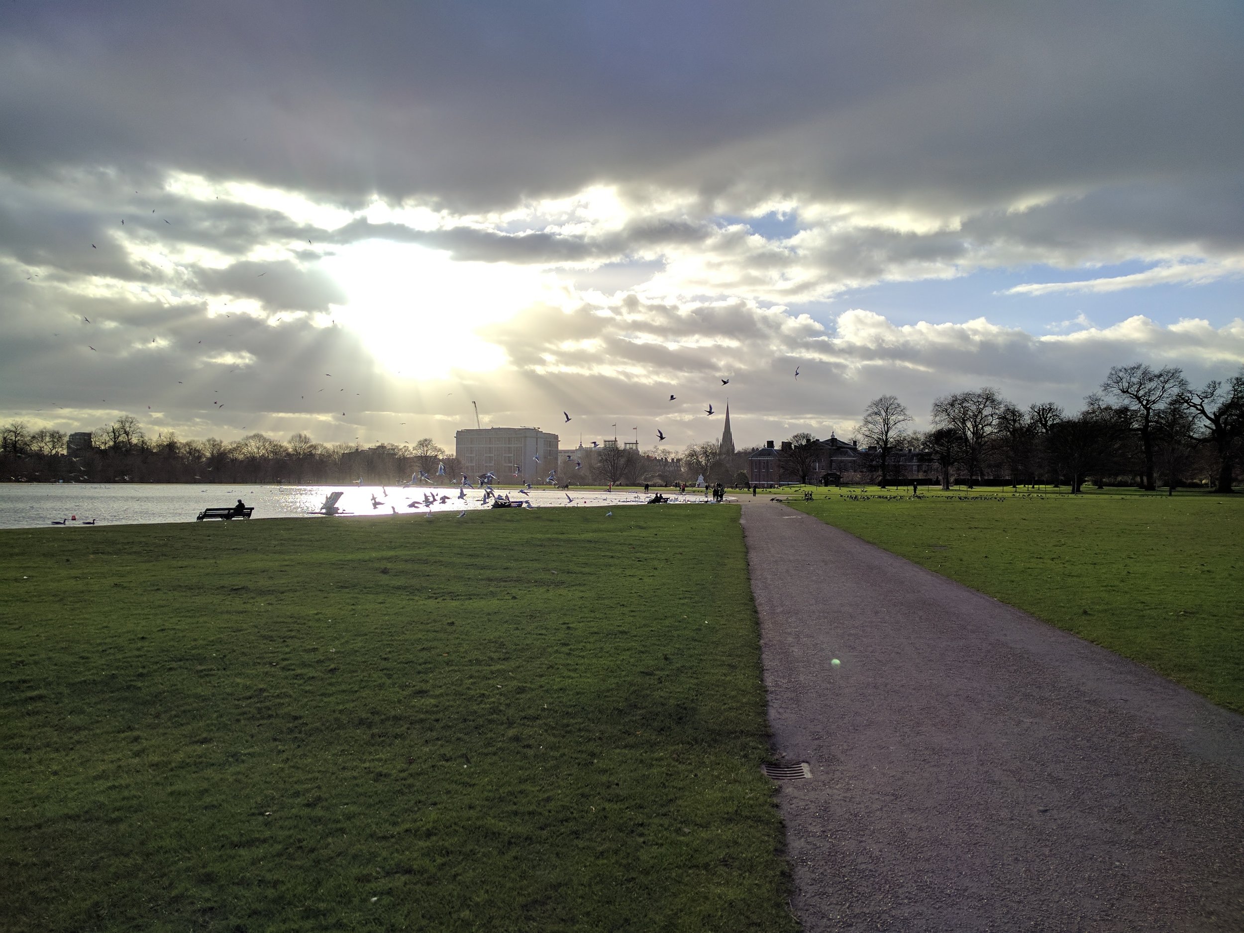 Pond in Kensington Gardens