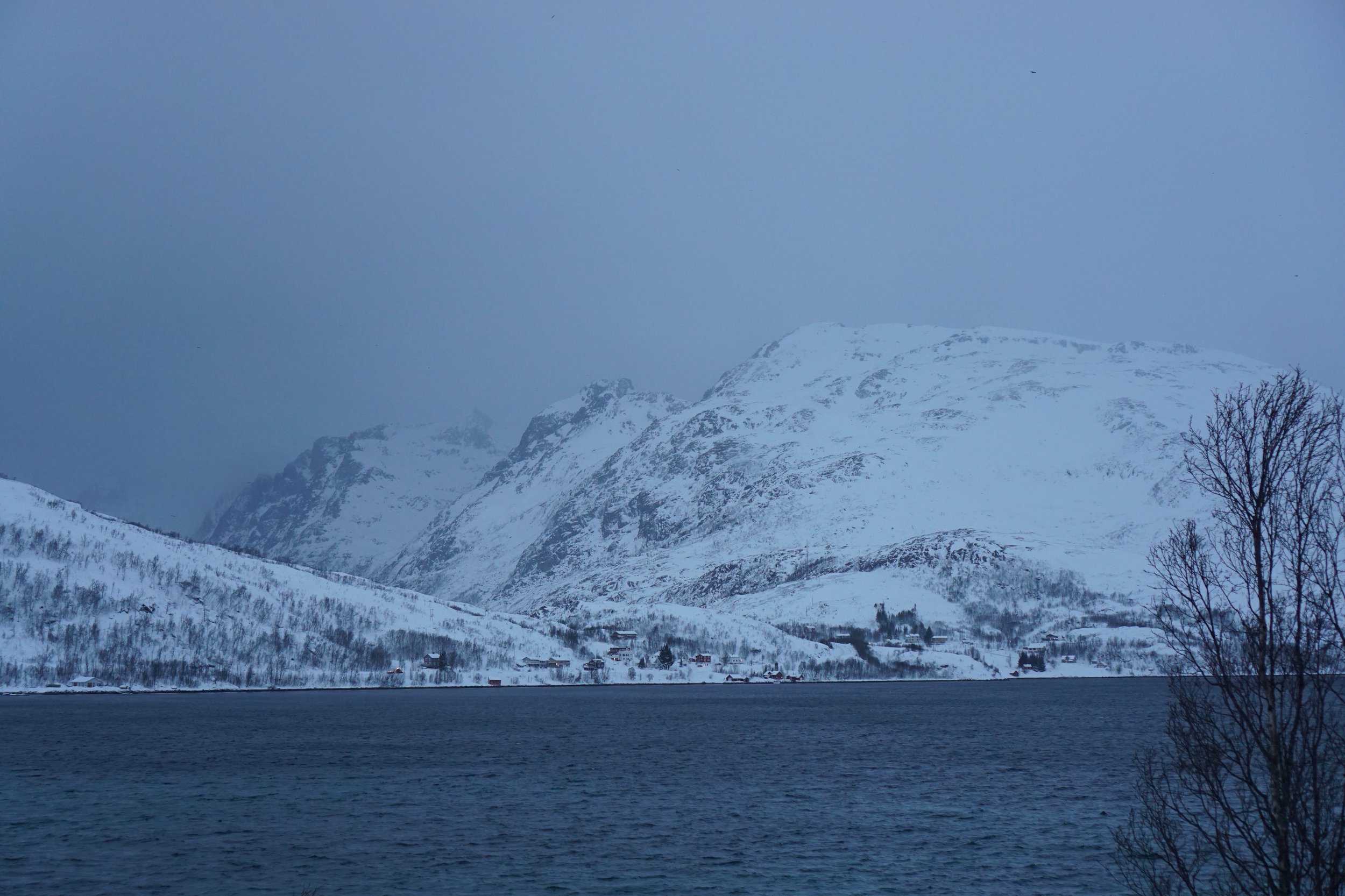 Little village across the fjord