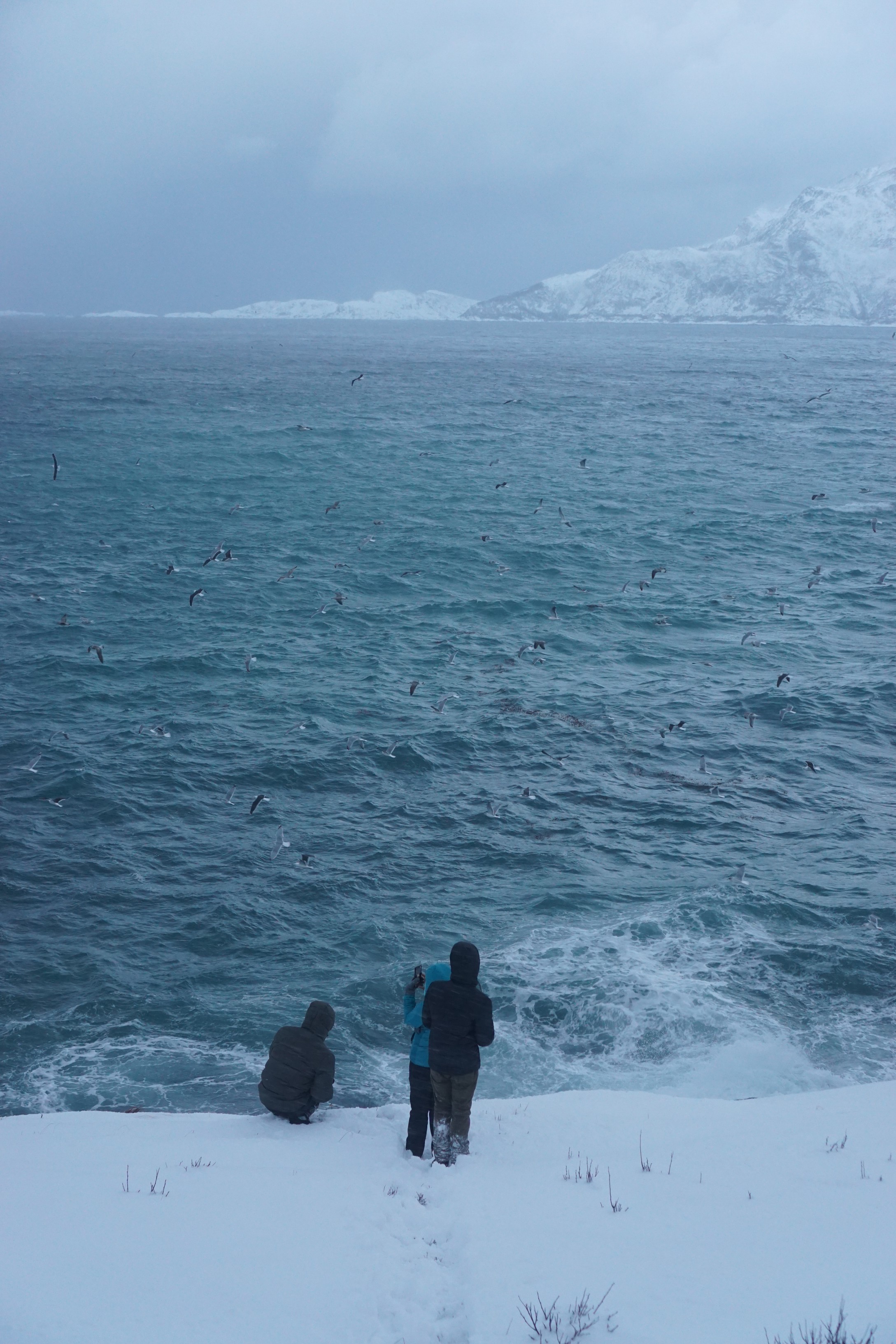 Standing at the edge to whale watch