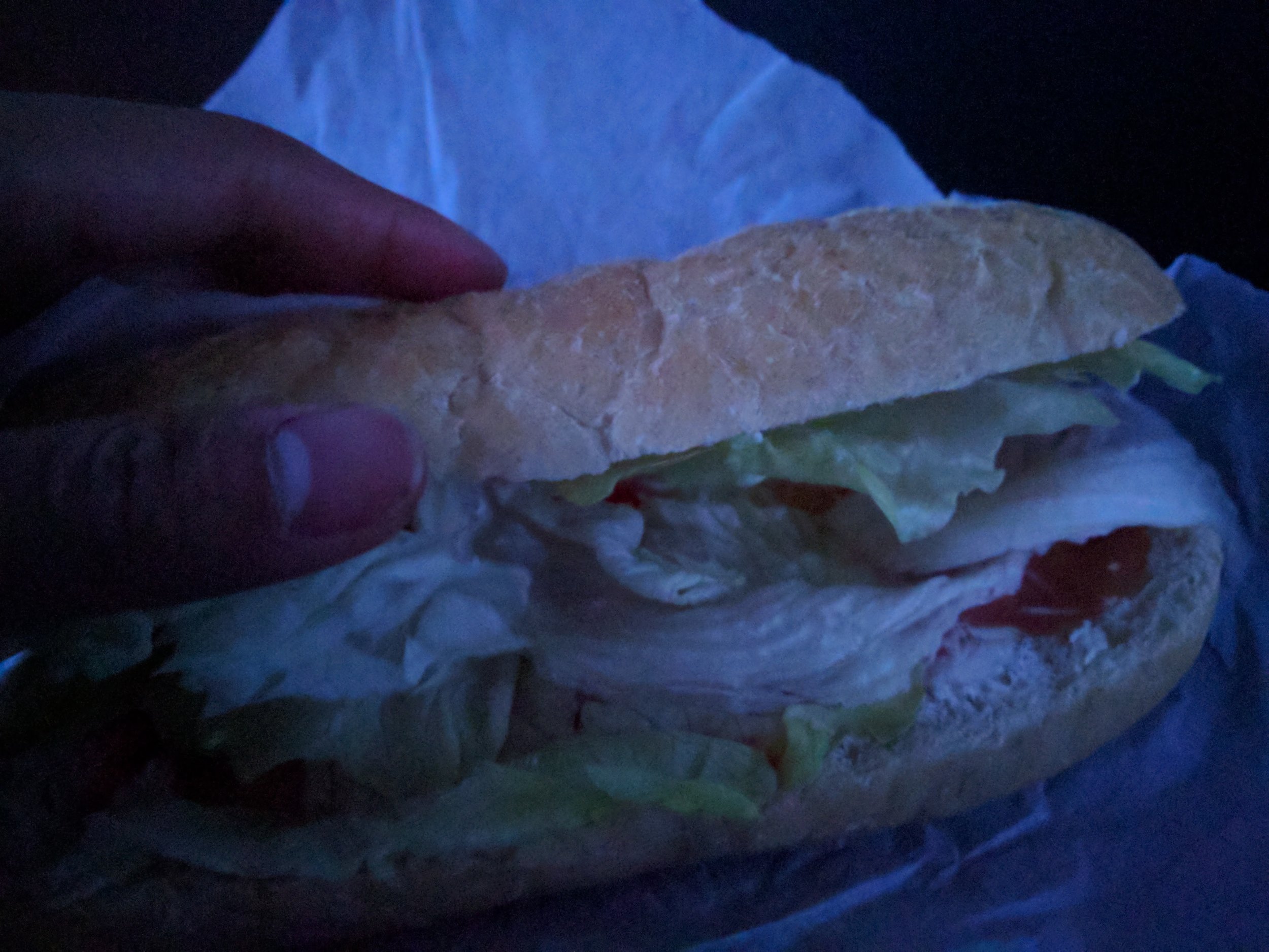Sandwich for a late lunch on the drive back