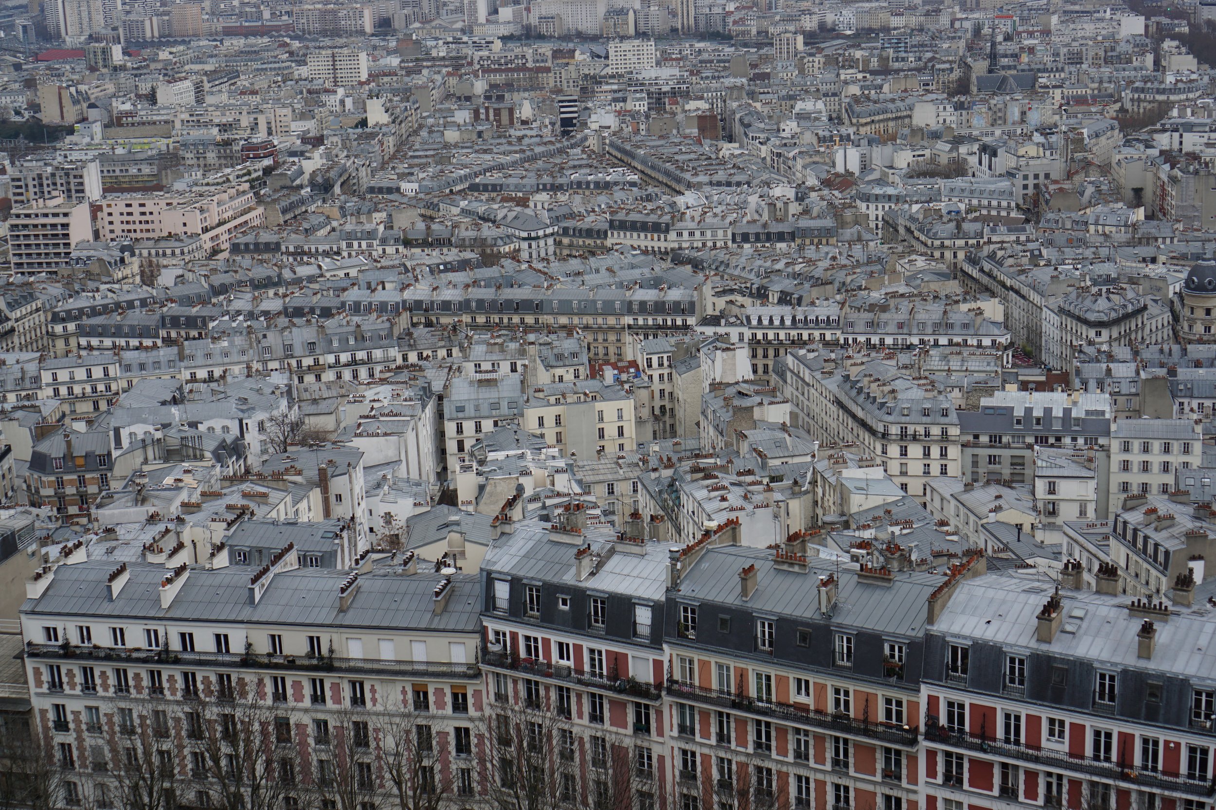 Cool perspective on the classic Paris buidings
