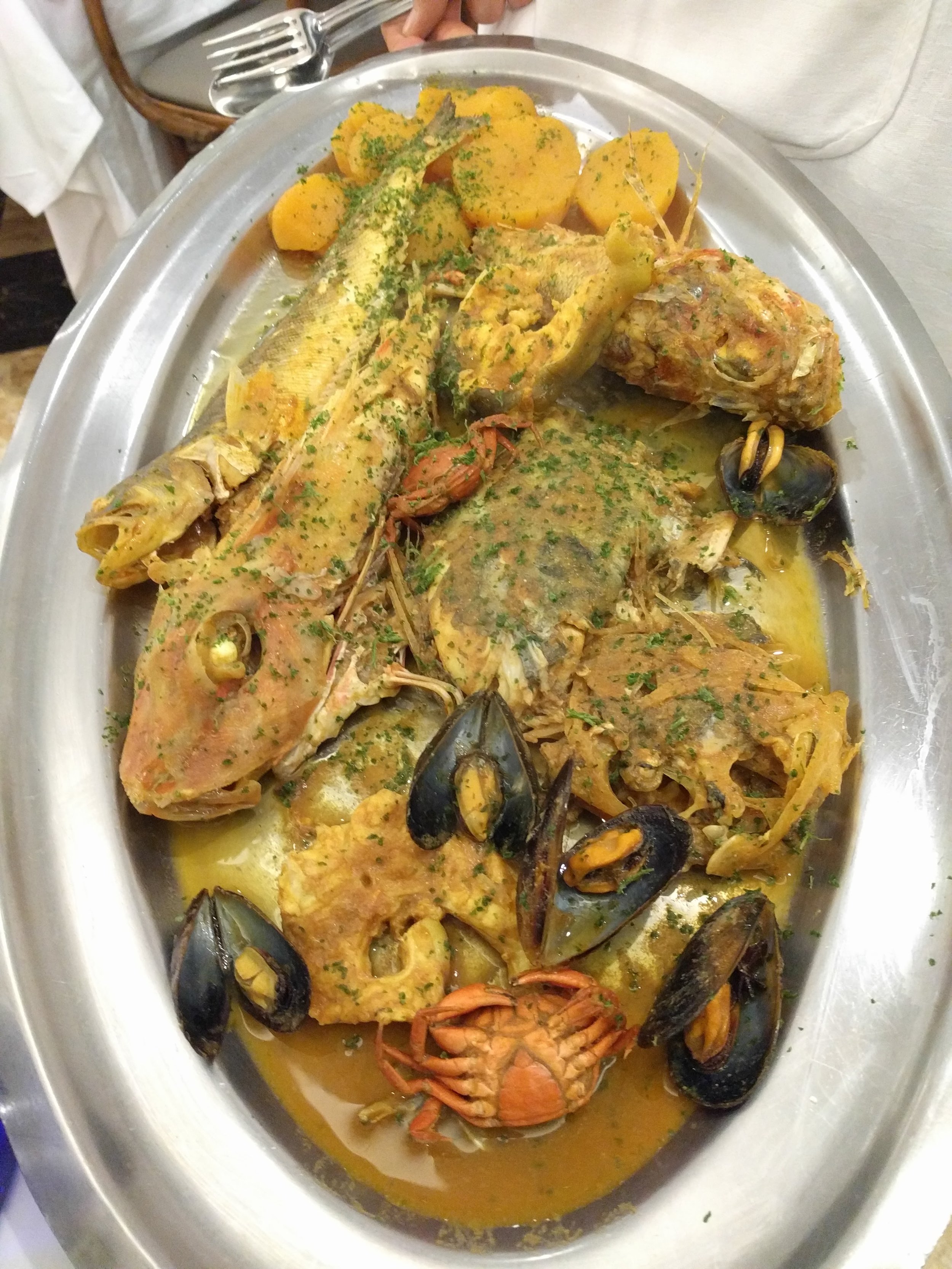 trash fish!